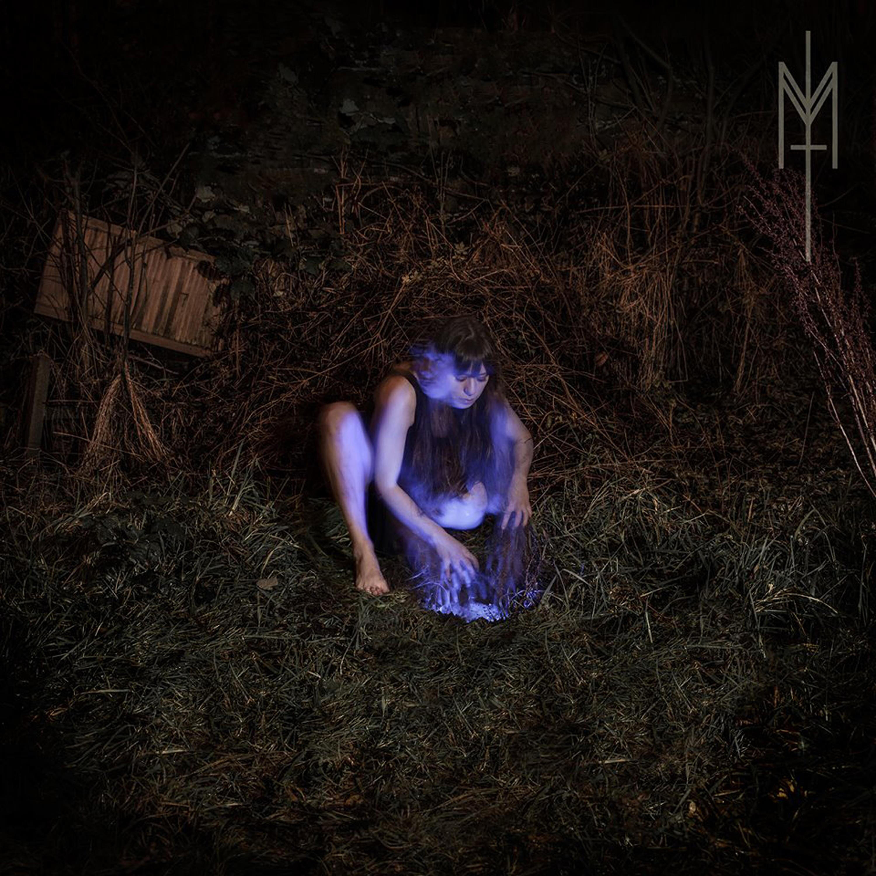 Релиз The Inner Wastelands