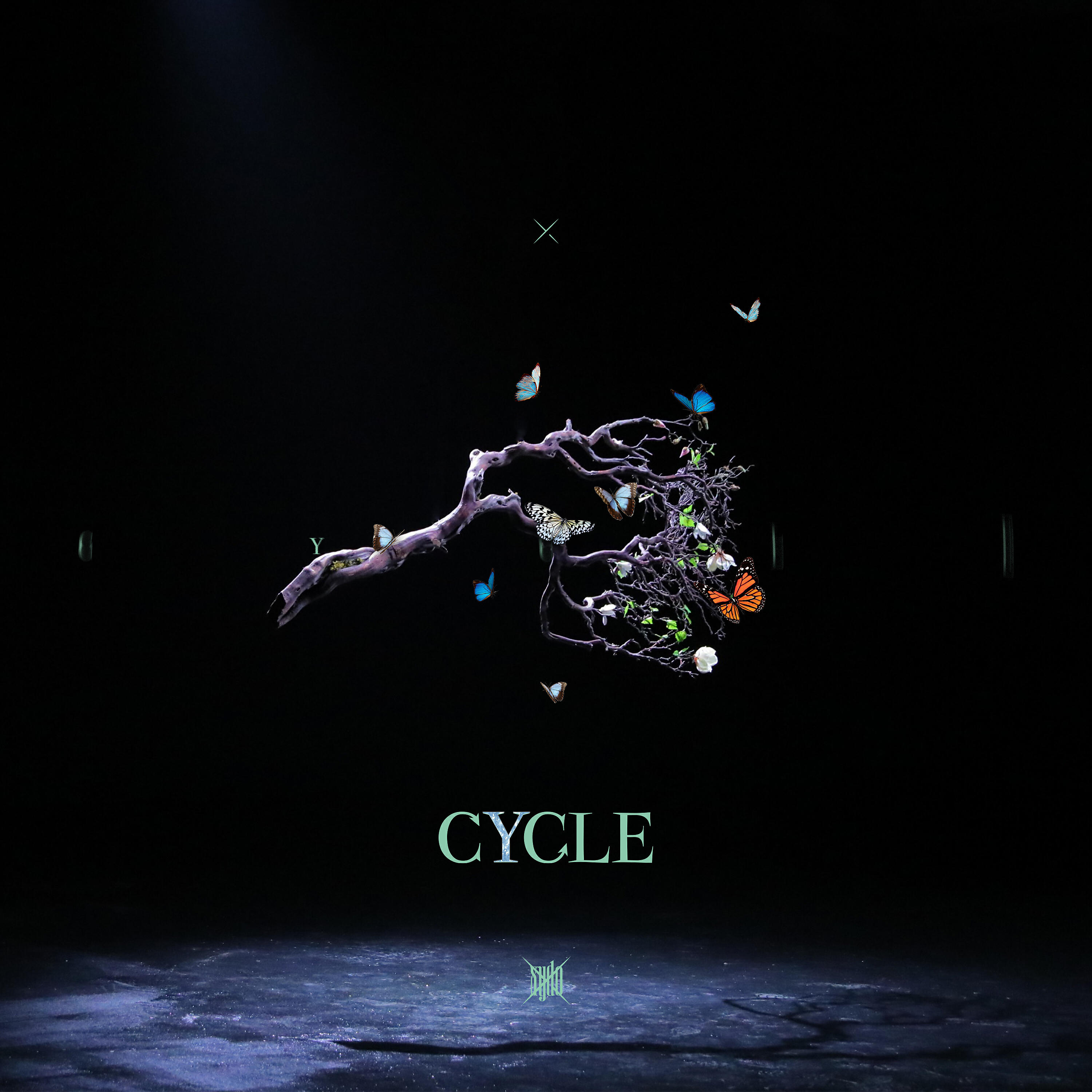 Релиз CYCLE