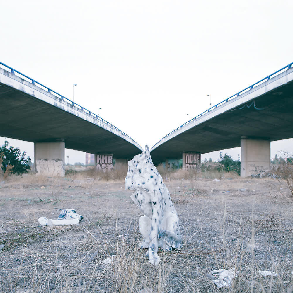 El Imperio del Perro