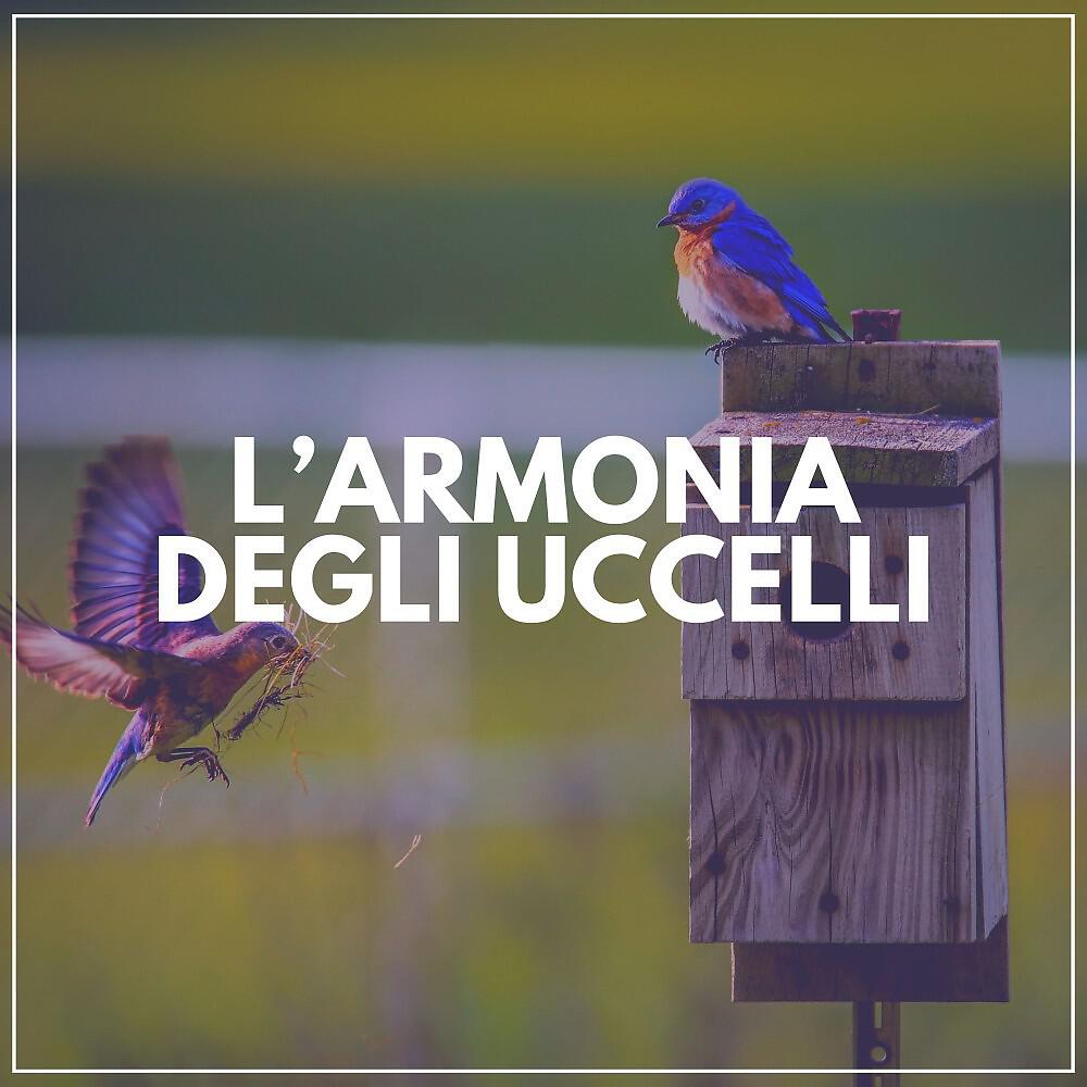 Релиз L'armonia Degli Uccelli