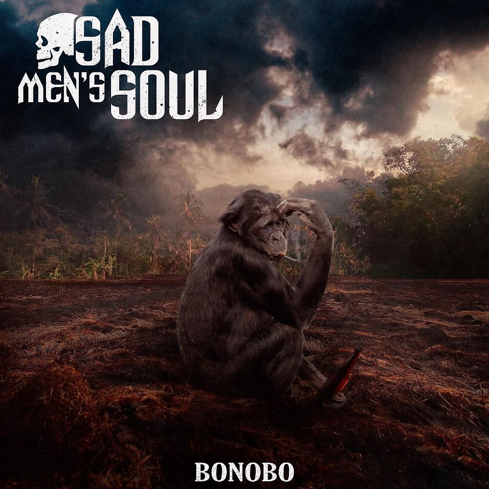 Релиз Bonobo