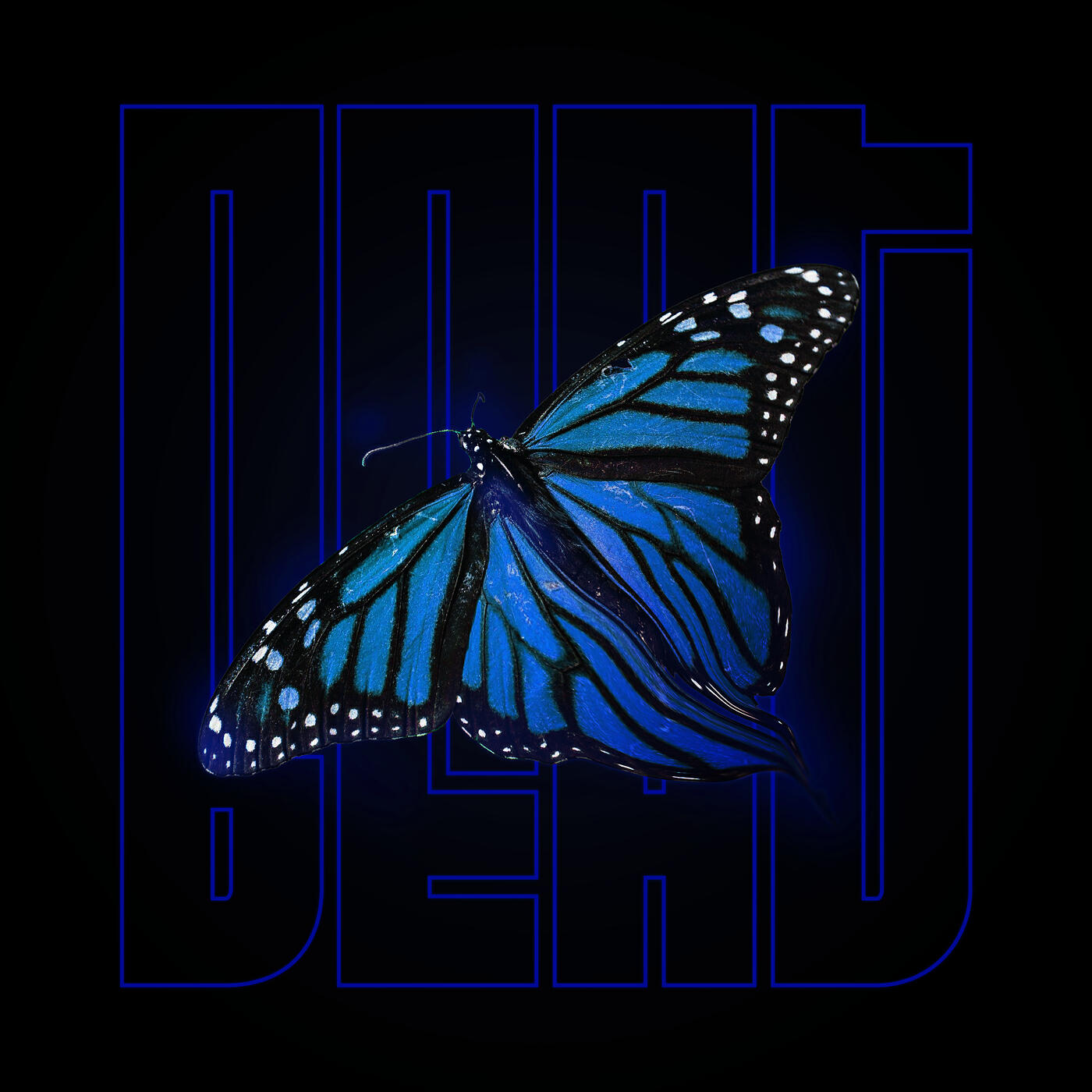 Релиз Beat