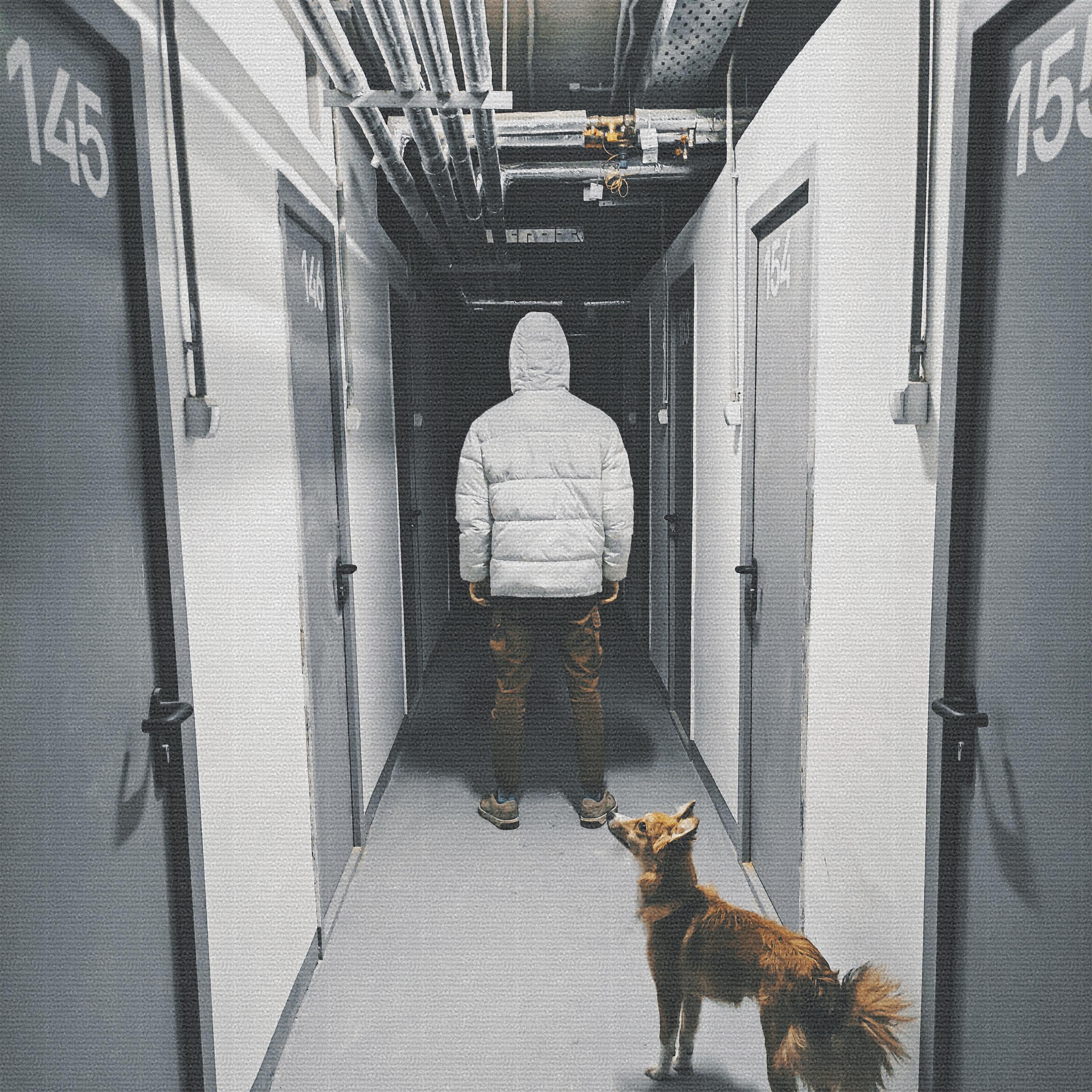 Релиз Парень в падике