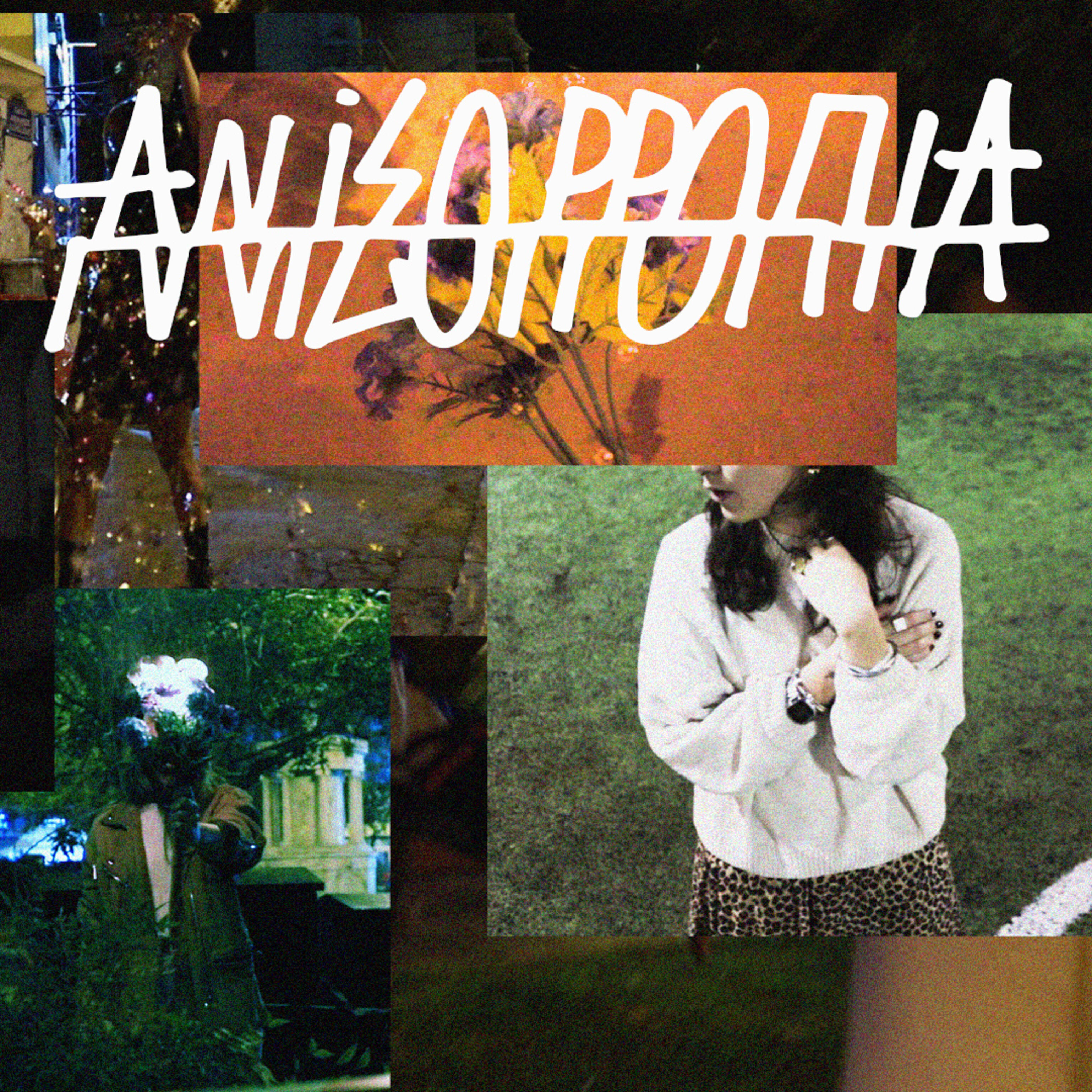 Релиз ANISORROPIA