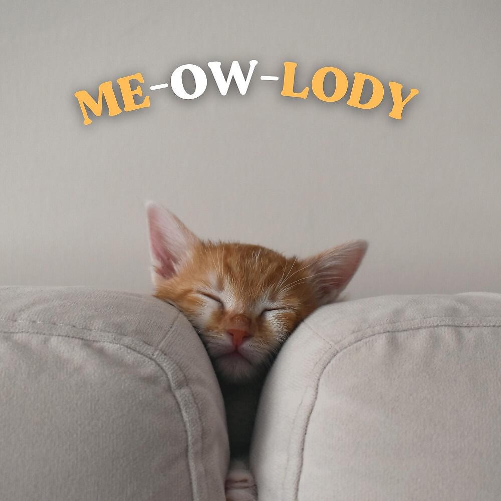 Релиз Me-Ow-Lody