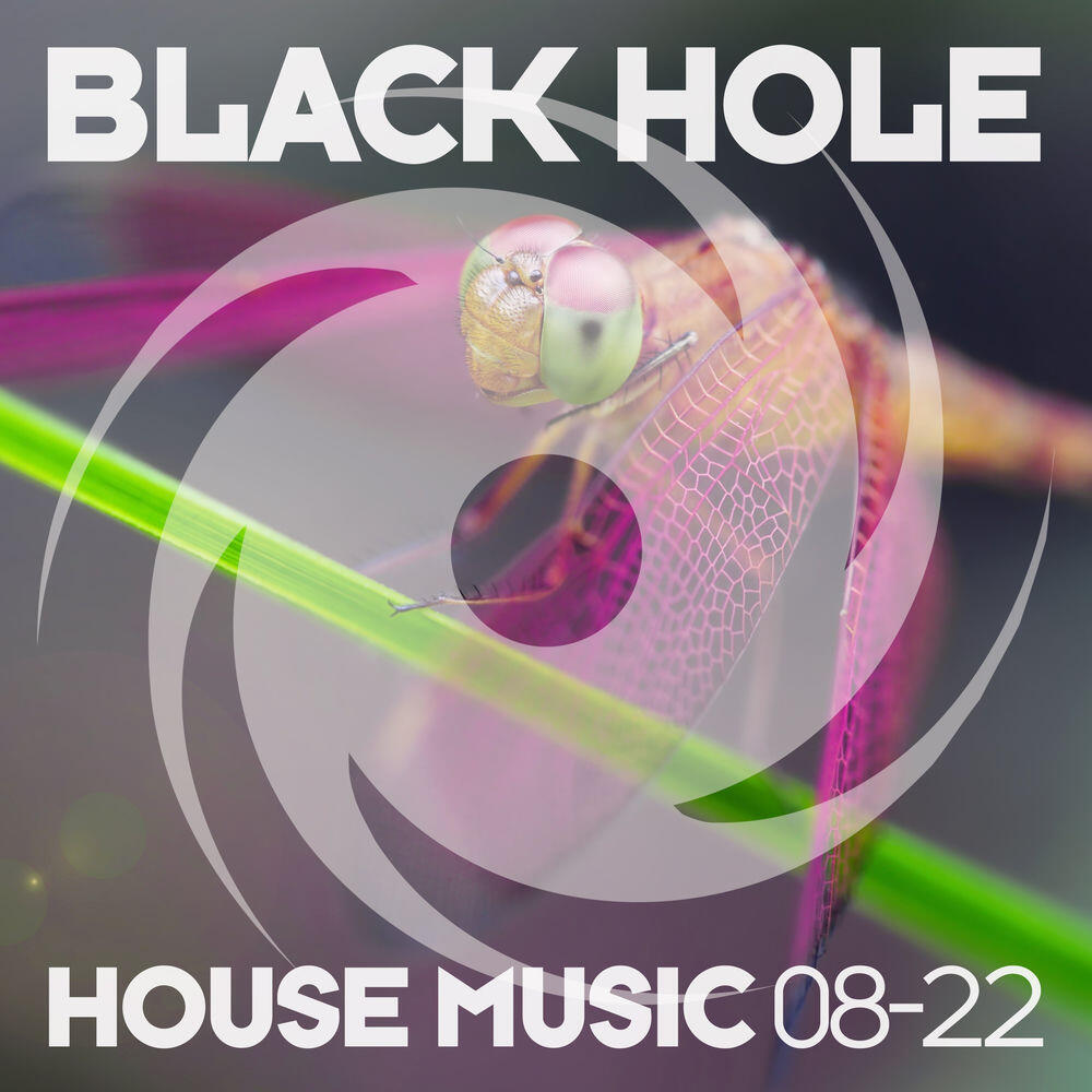 Релиз Black Hole House Music 08-22