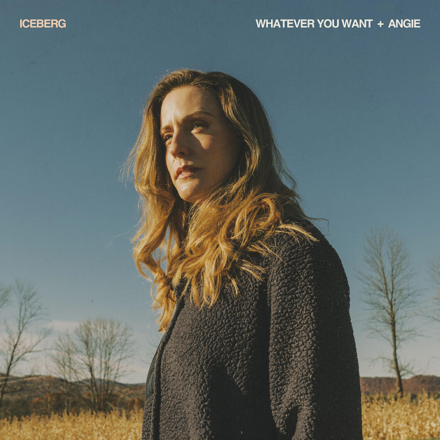 Релиз Whatever You Want + Angie