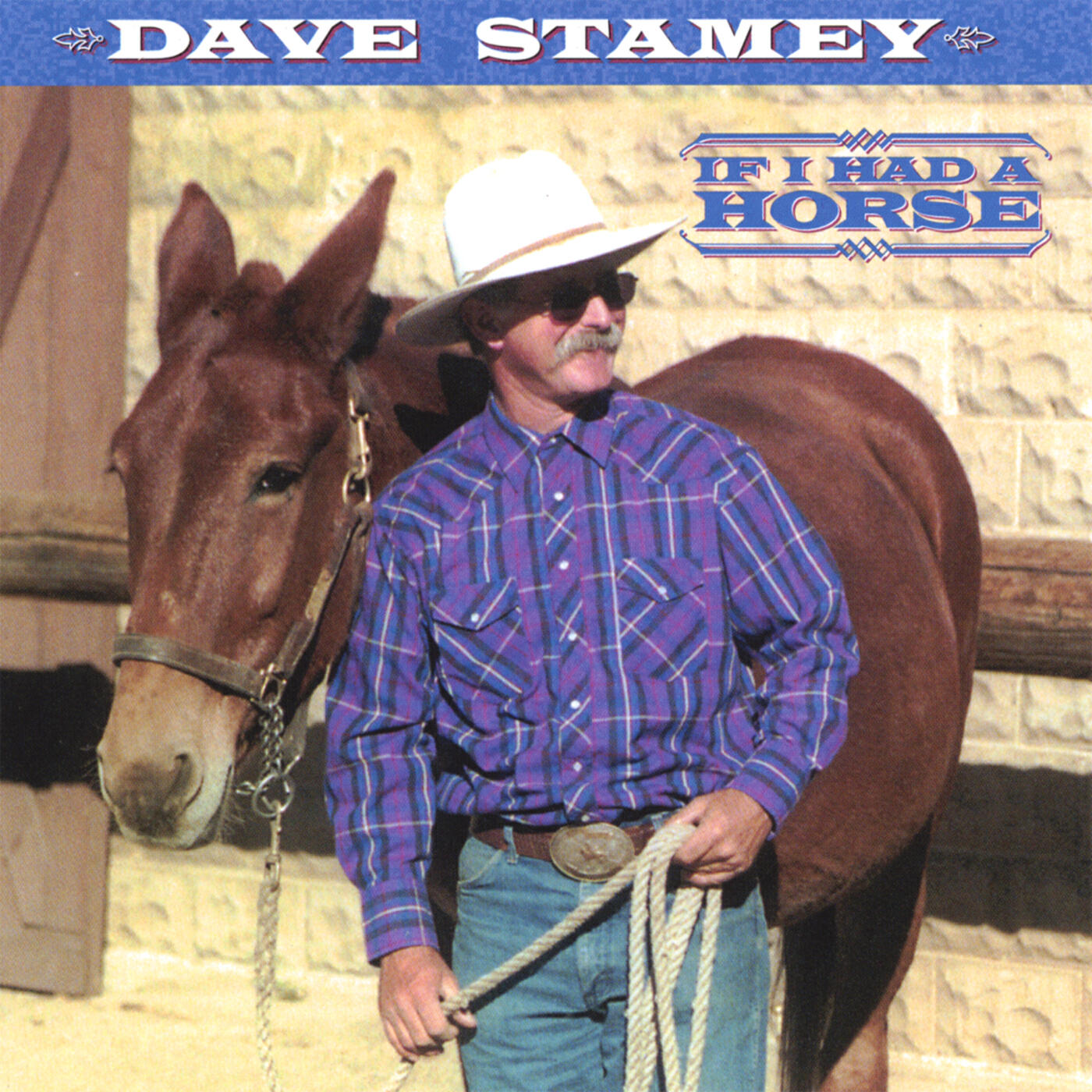 Релиз If I Had A Horse