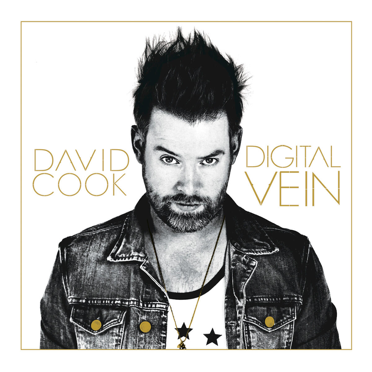 Релиз Digital Vein