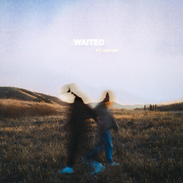 Постер альбома Waited