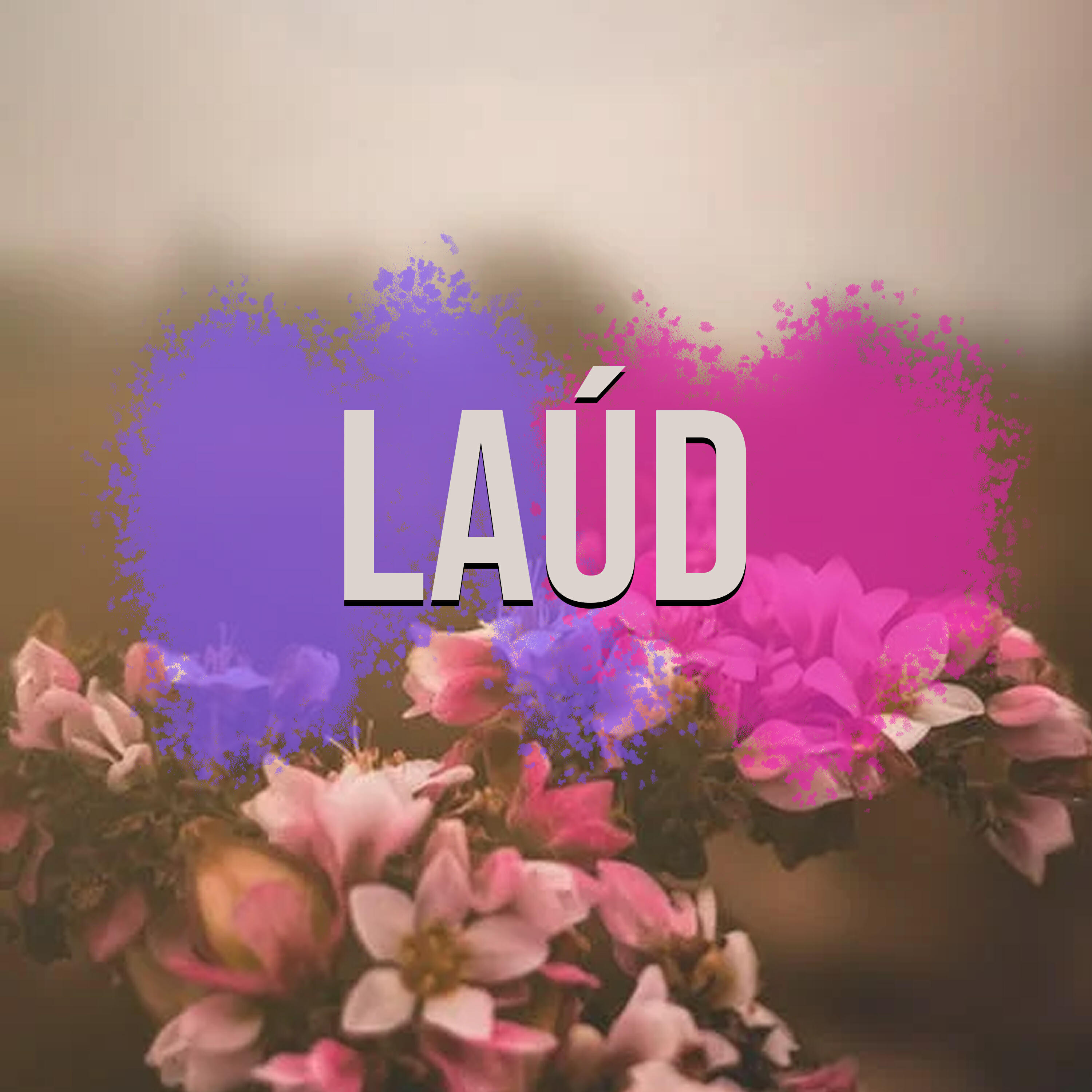 Relajacion, Mind & Earth - Laúd