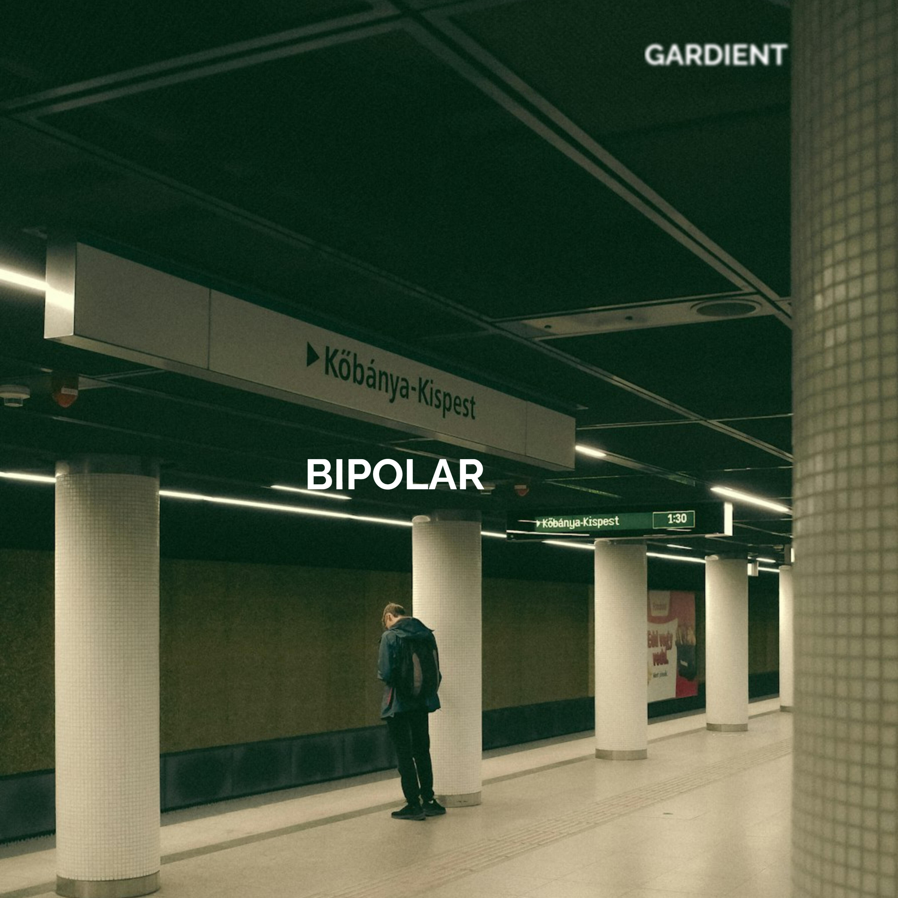 Релиз Bipolar