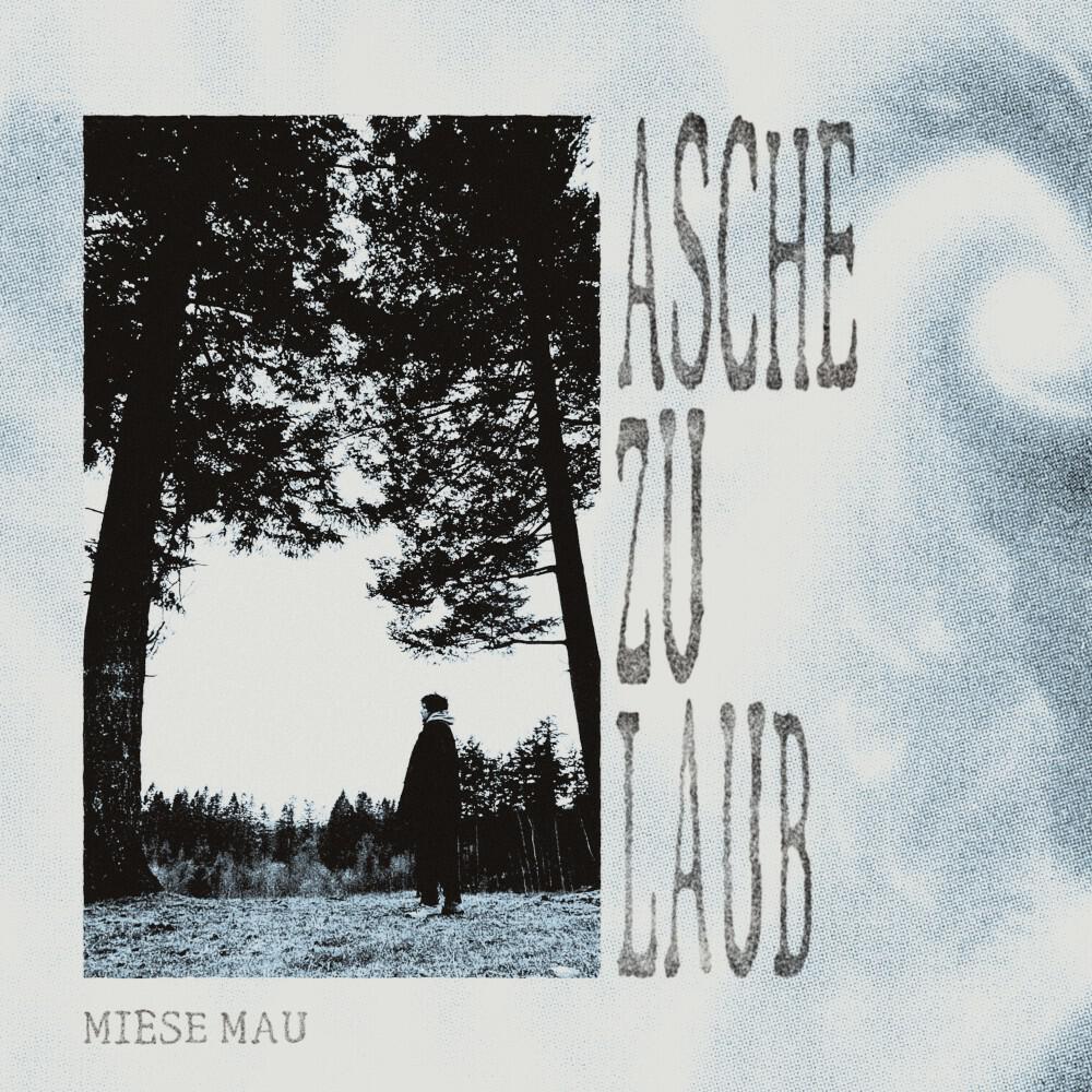 Релиз Asche zu Laub