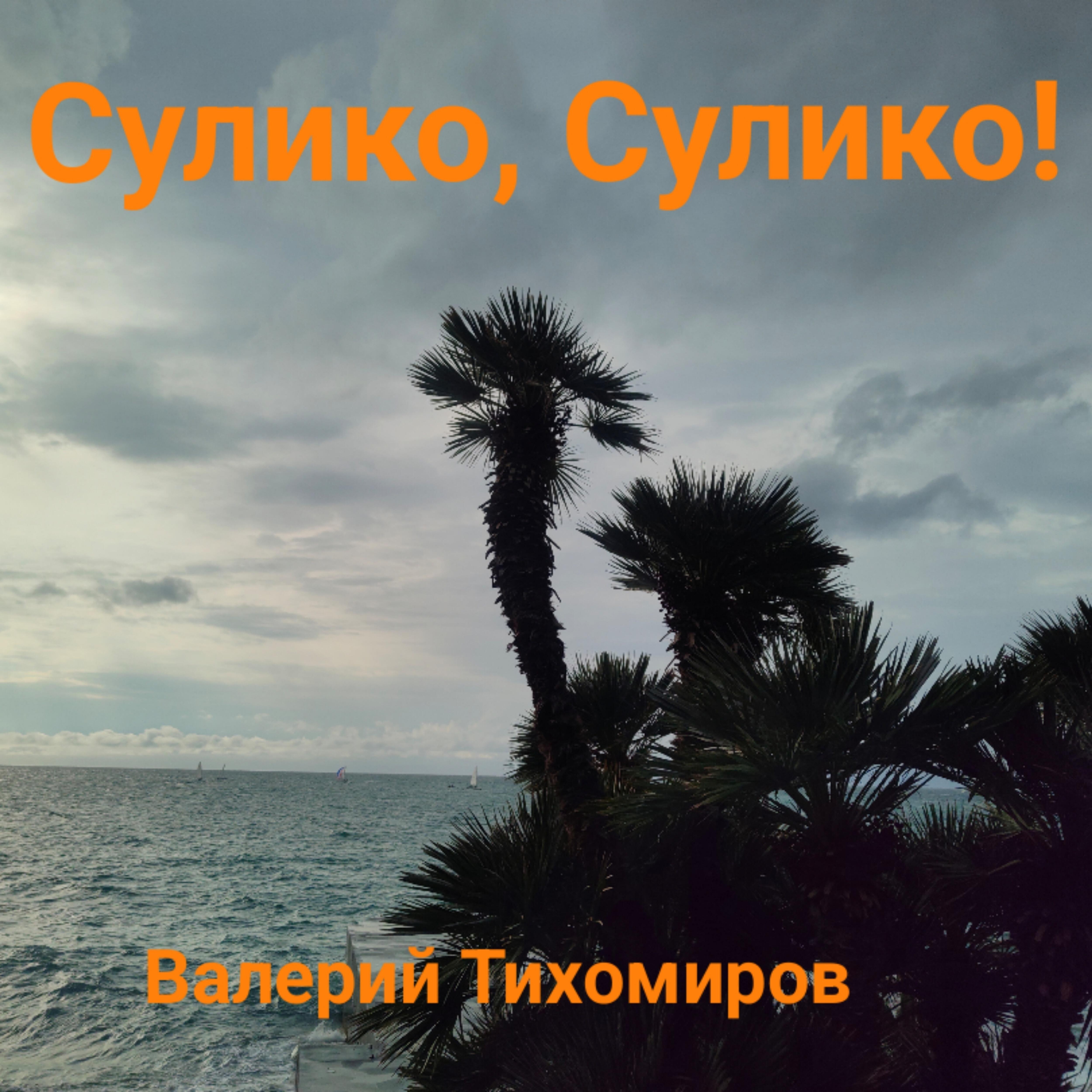Релиз Сулико, Сулико!