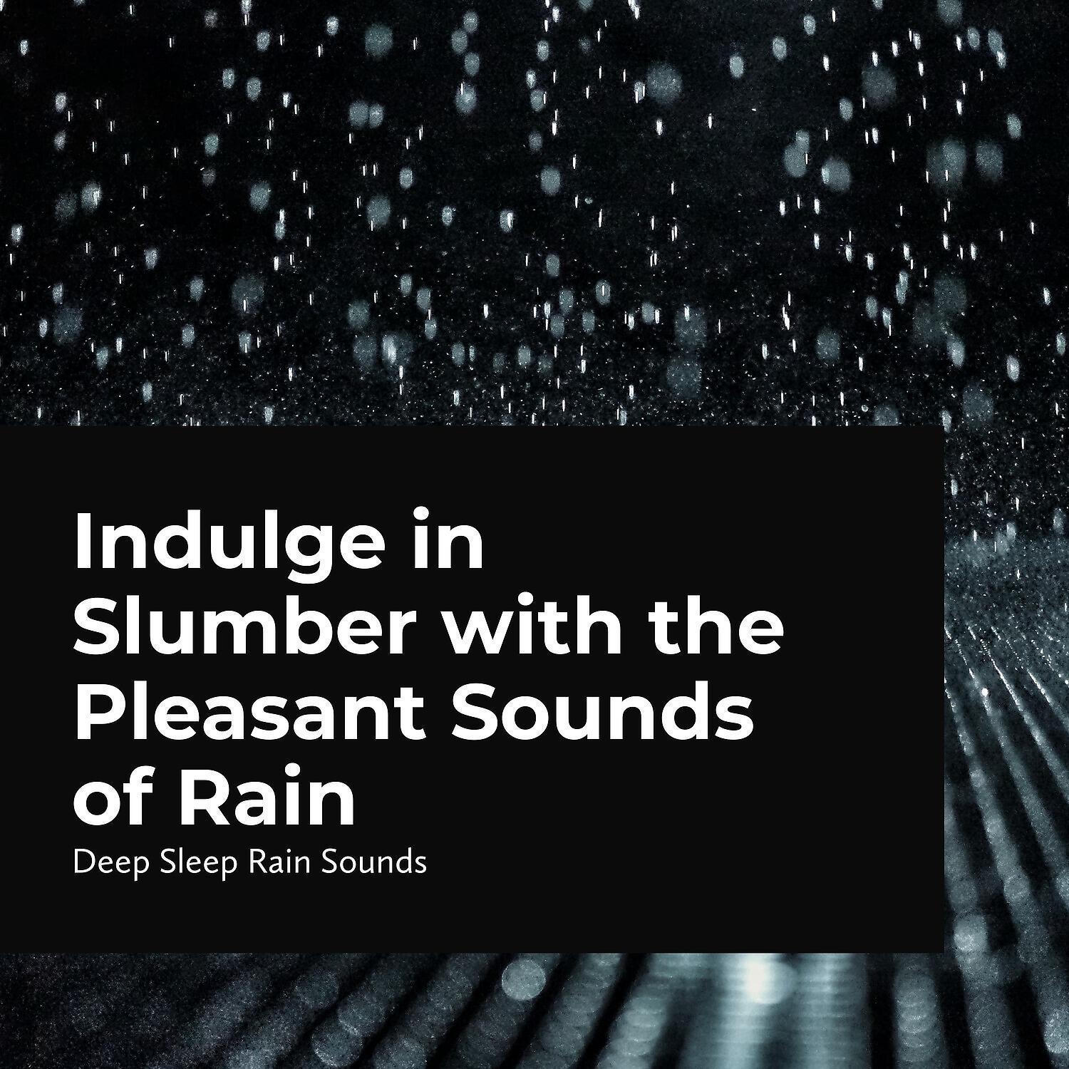 Релиз Indulge in Slumber with the Pleasant Sounds of Rain