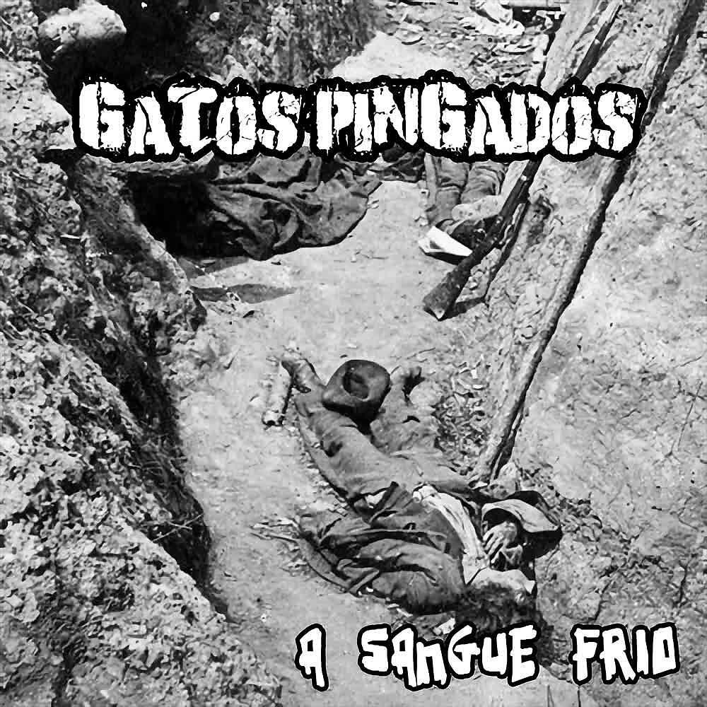 Релиз A Sangue Frio
