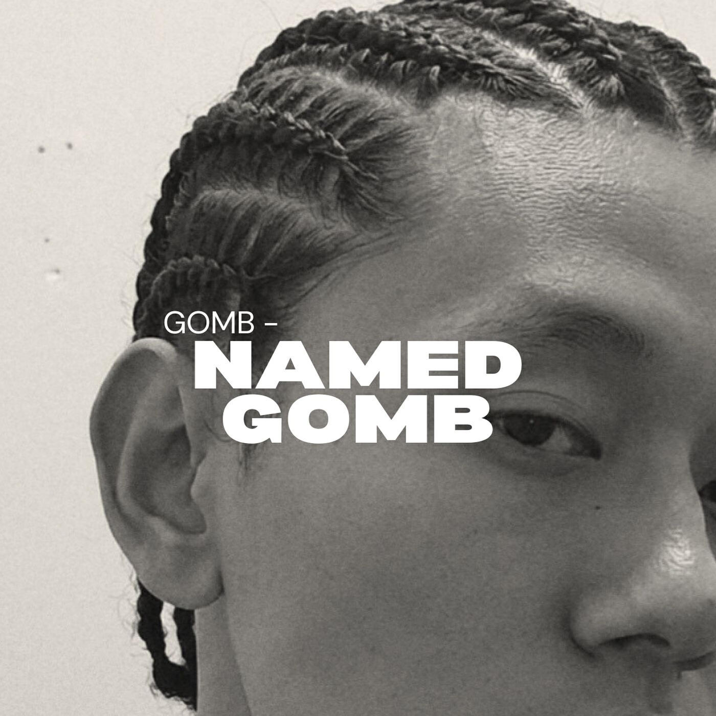 Релиз Named Gomb