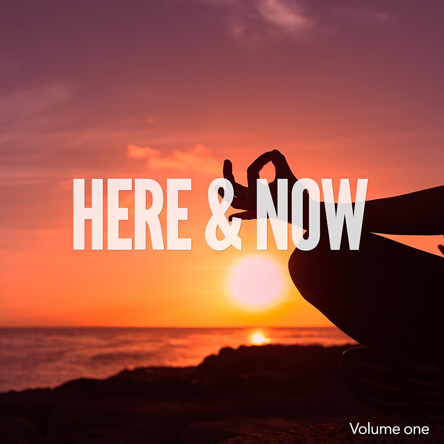 Релиз Here & Now, Vol. 1