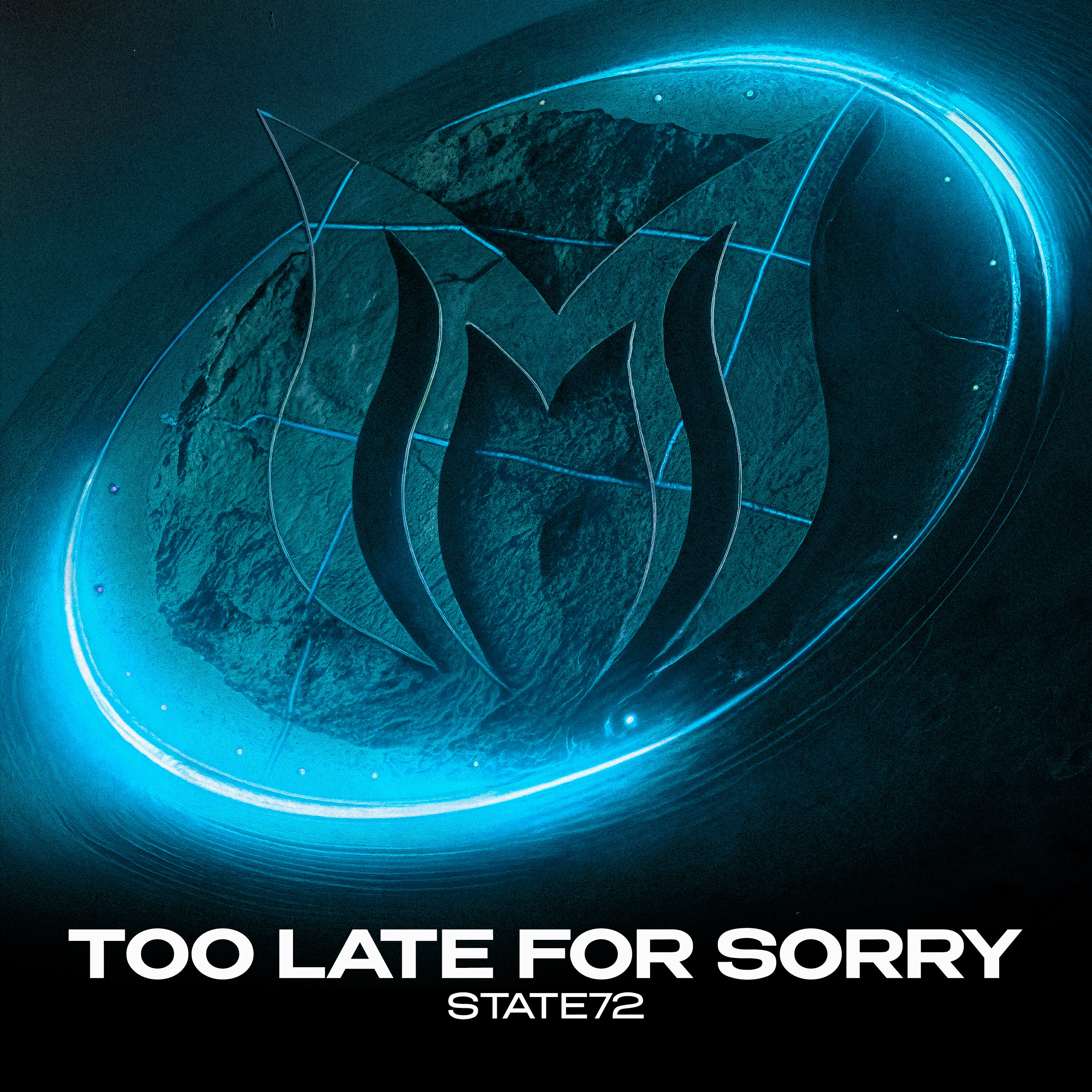 Релиз Too Late for Sorry