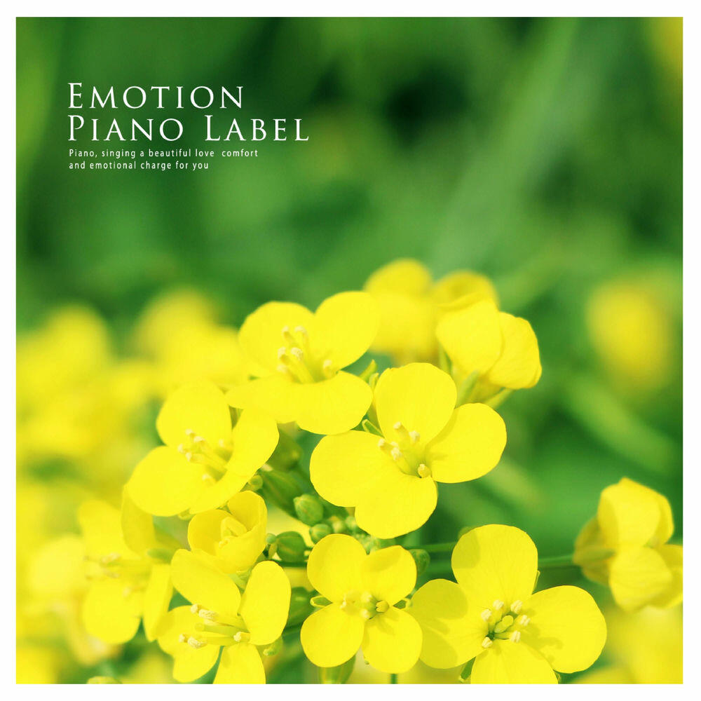 Релиз A collection of prehistoric music that brightens your mind