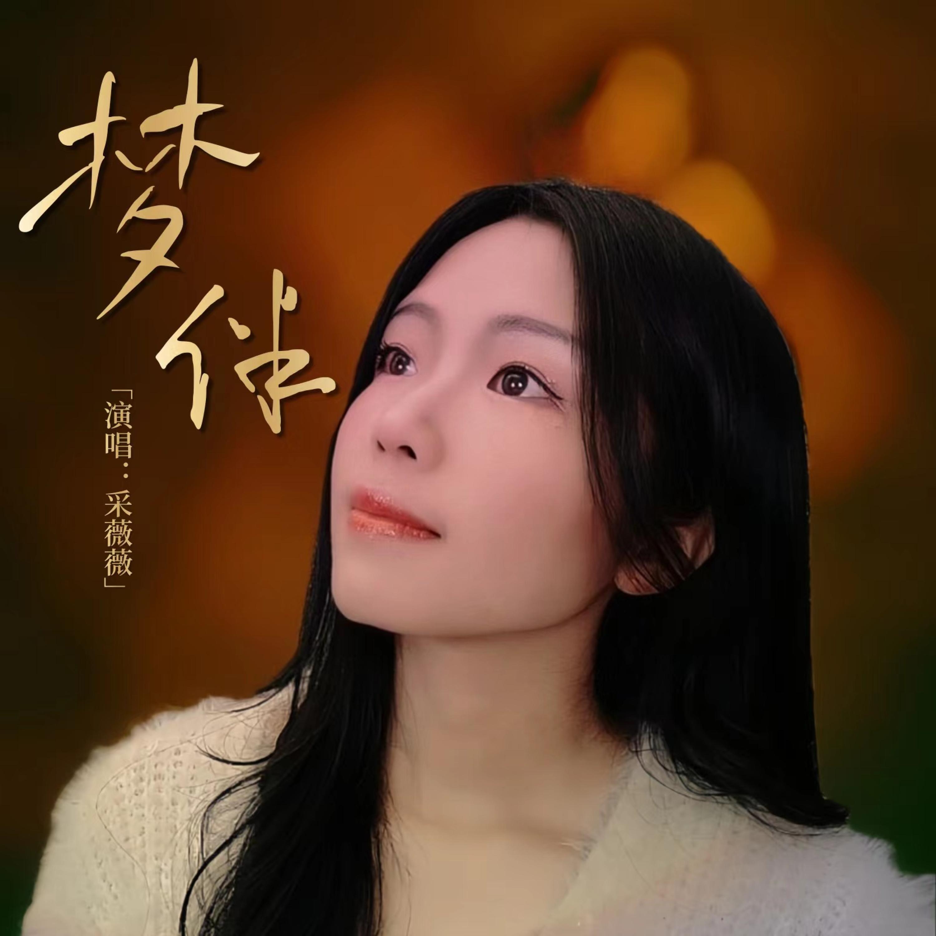 Релиз 梦伴