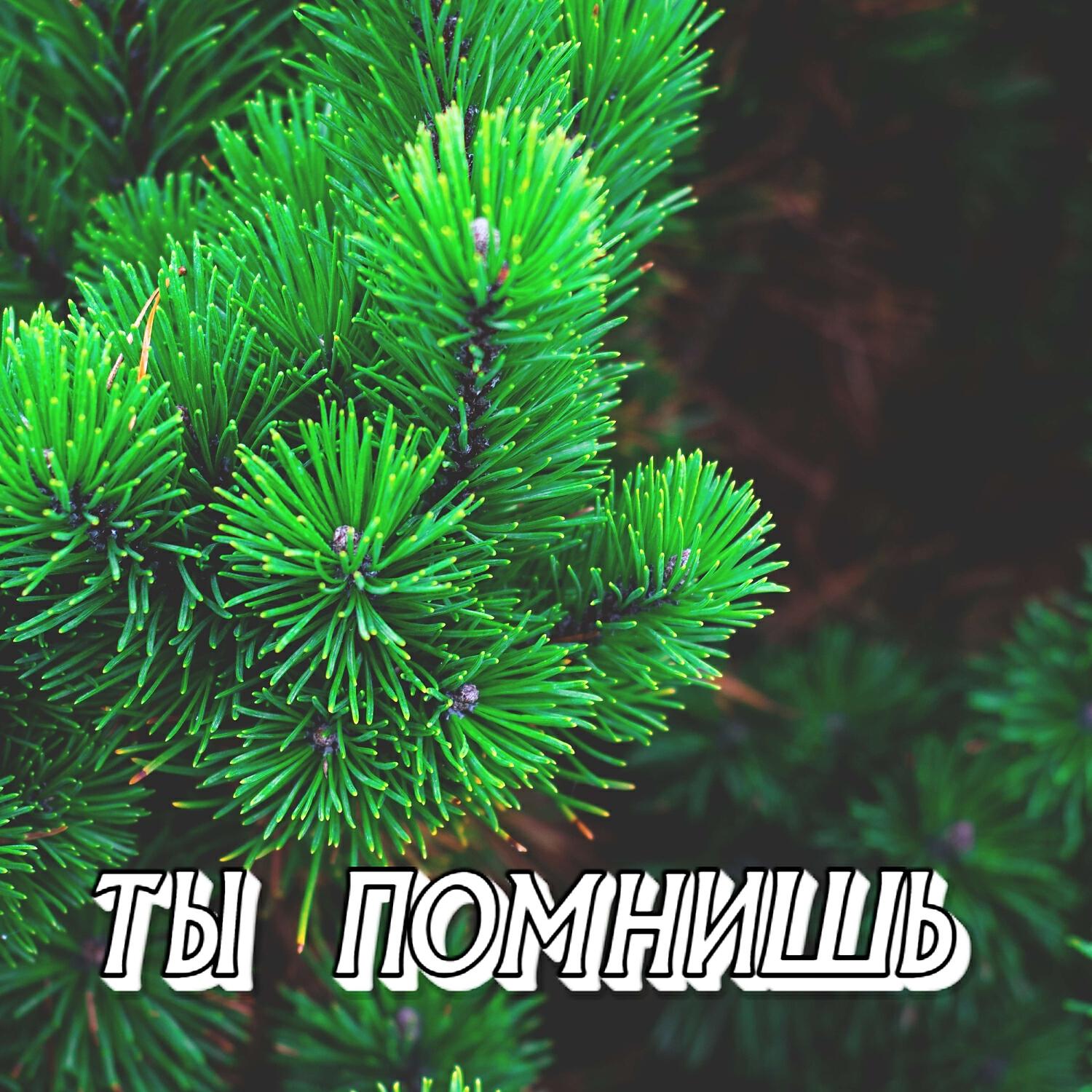 Постер альбома ТЫ ПОМНИШЬ