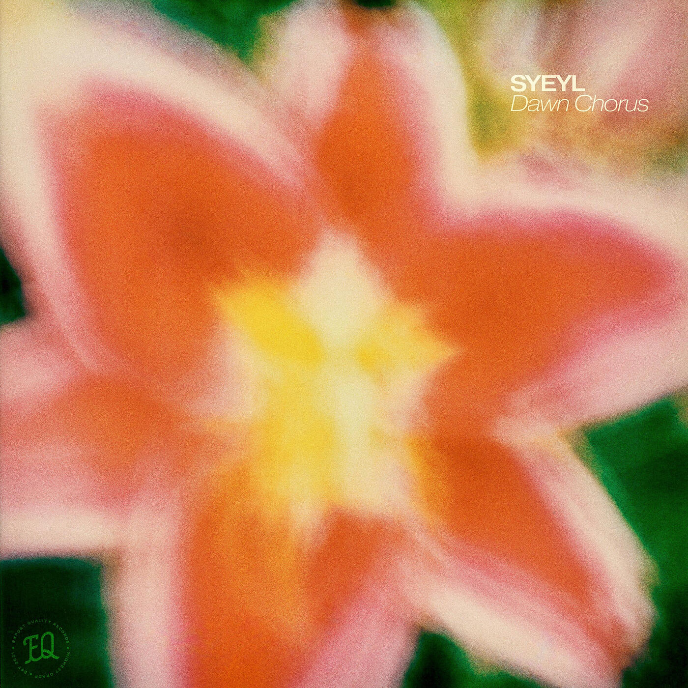 Релиз Dawn Chorus