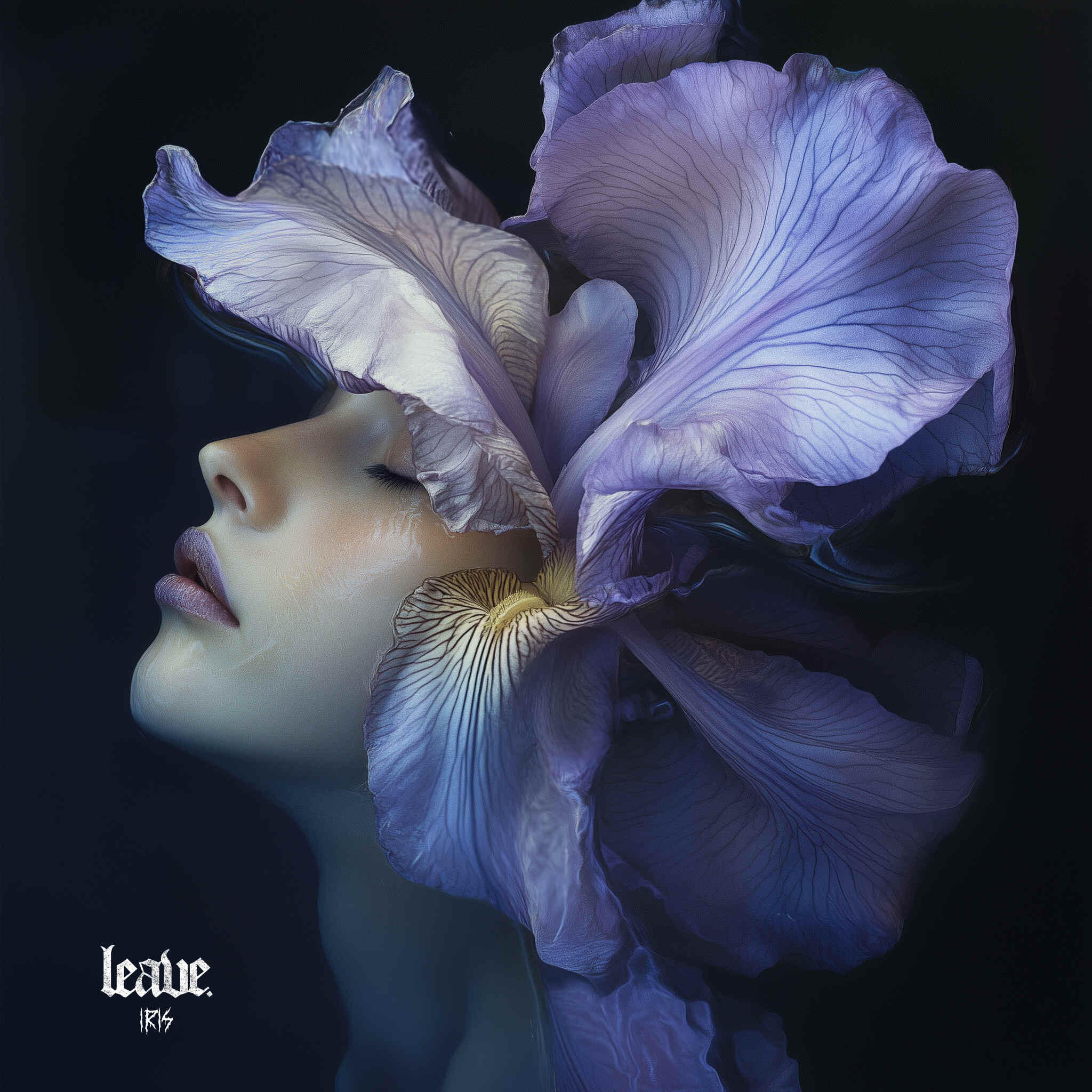 Релиз Iris