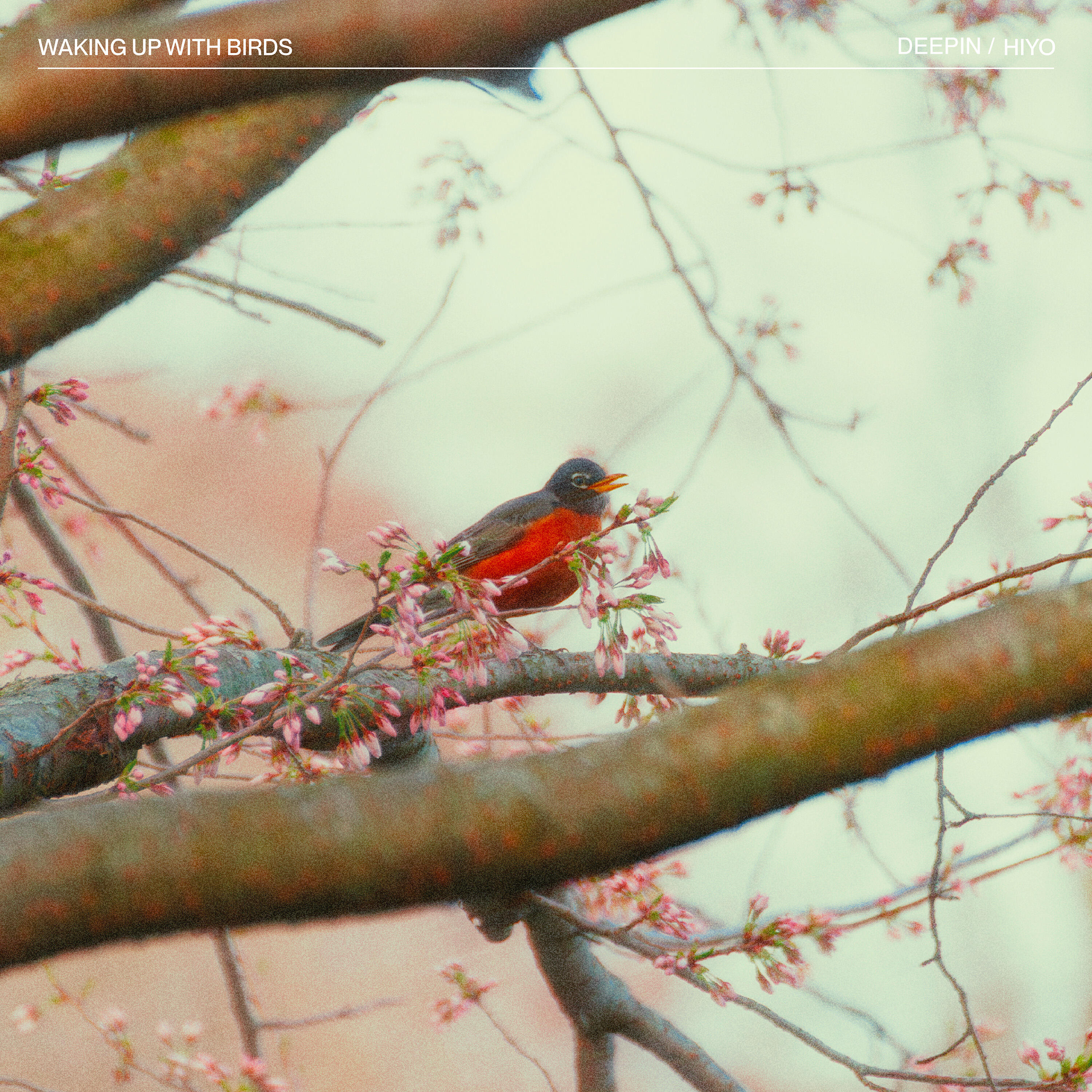 Релиз Waking Up With Birds