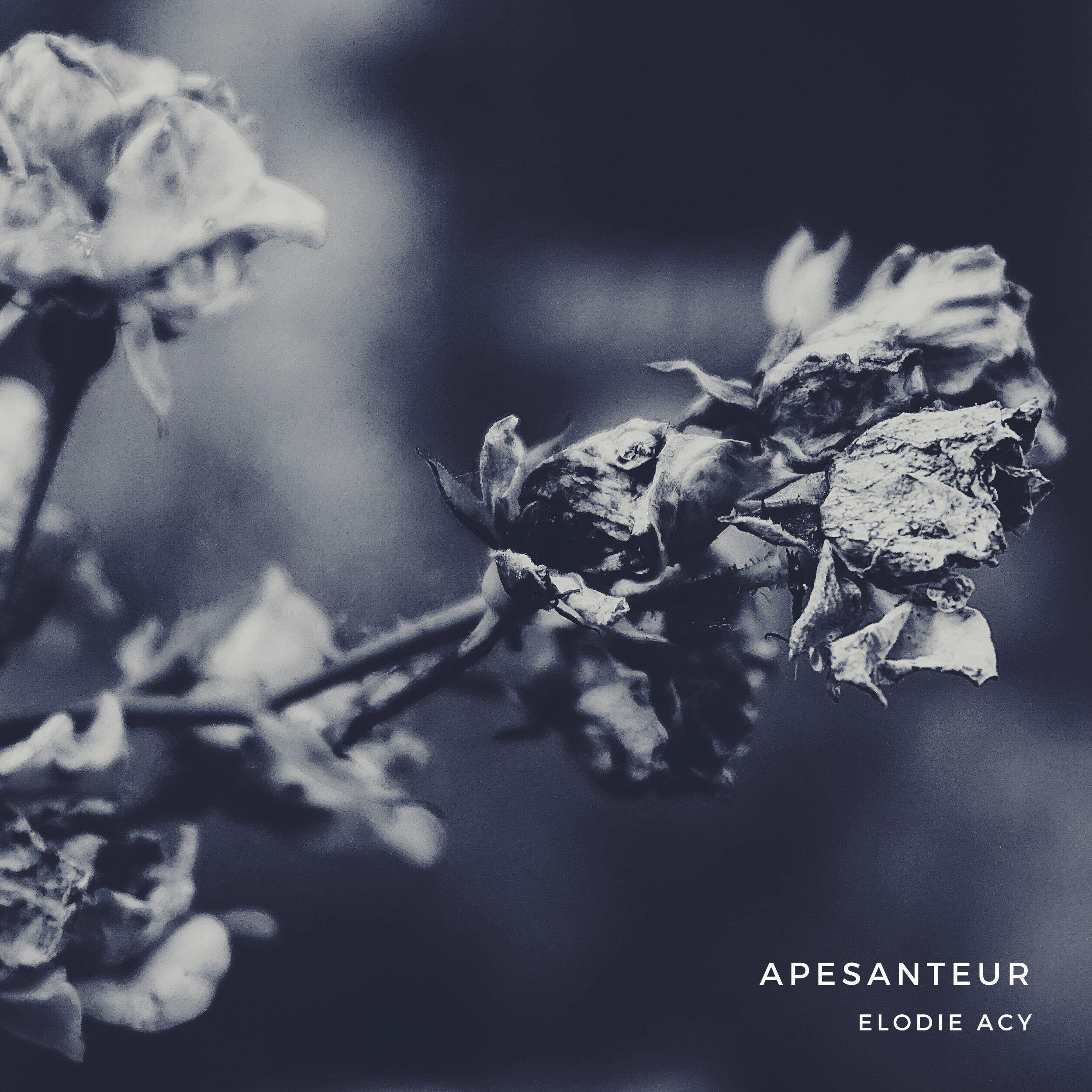 Релиз Apesanteur