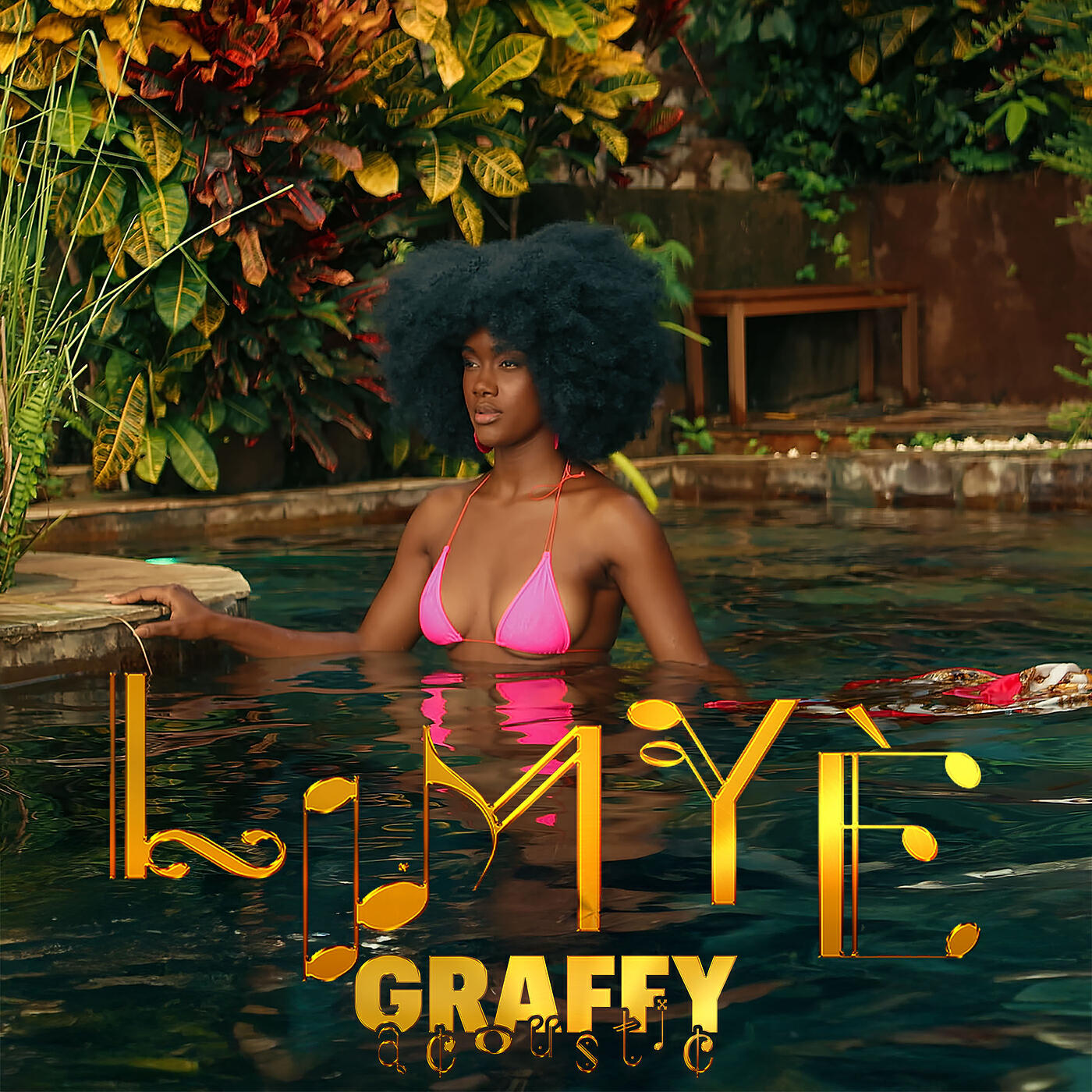 Релиз Limyè