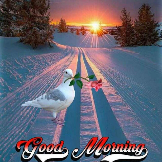 Релиз Tropical VIBE Type Beat