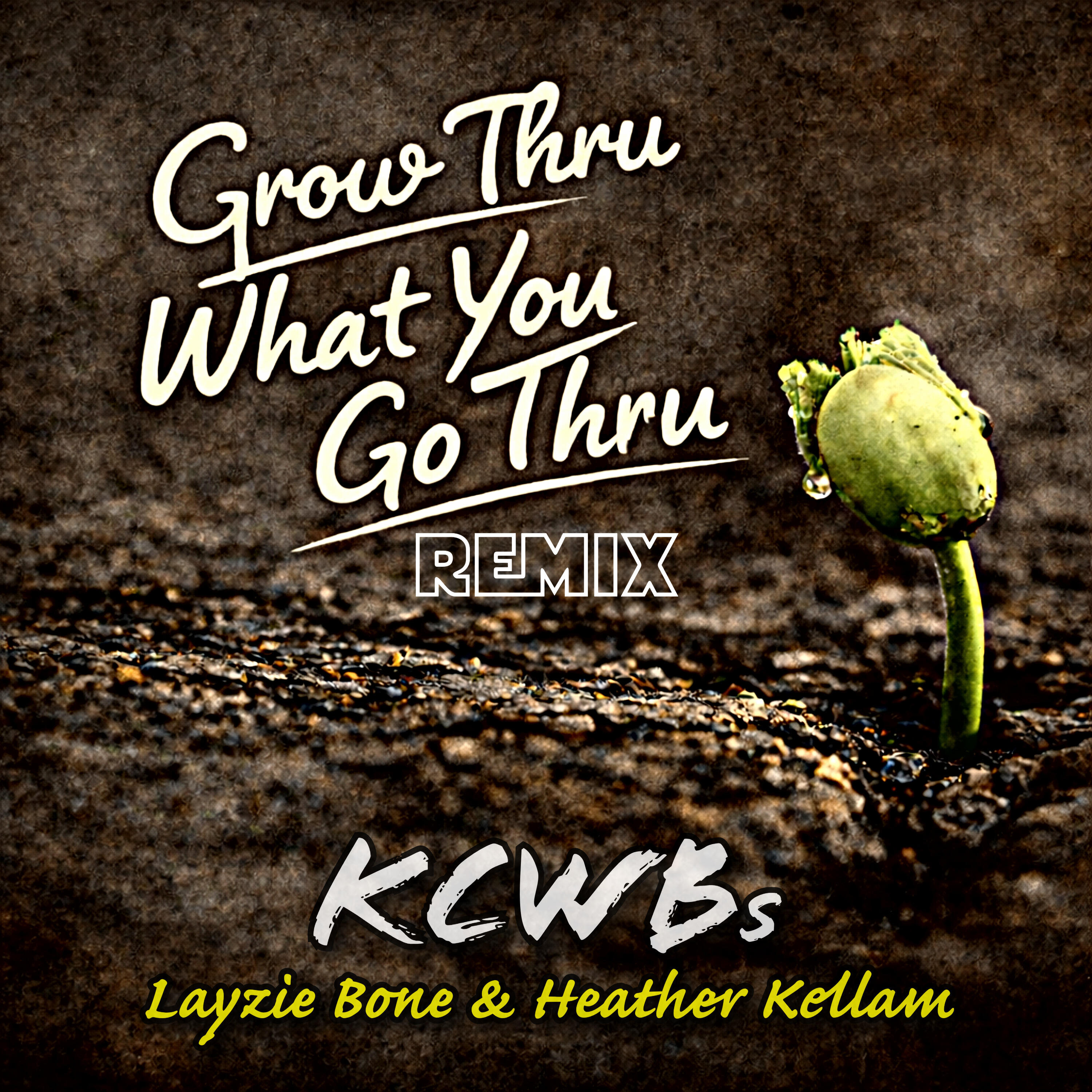 Heather Kellam