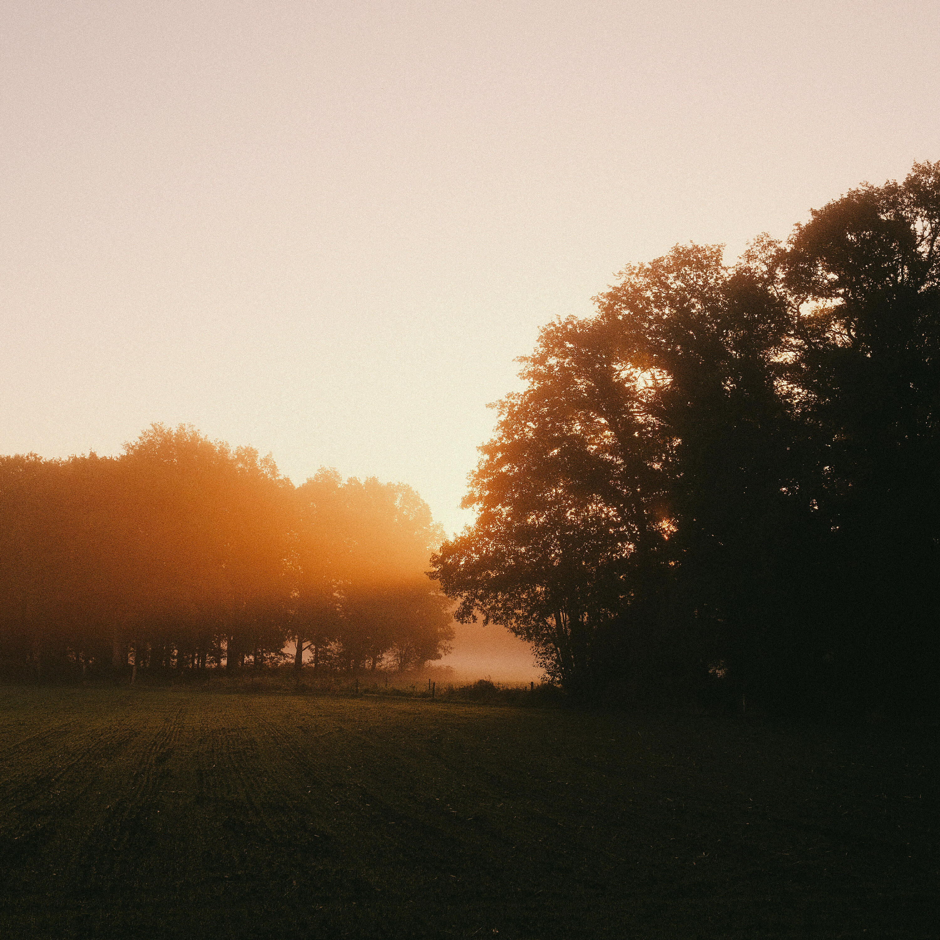Релиз New Dawn