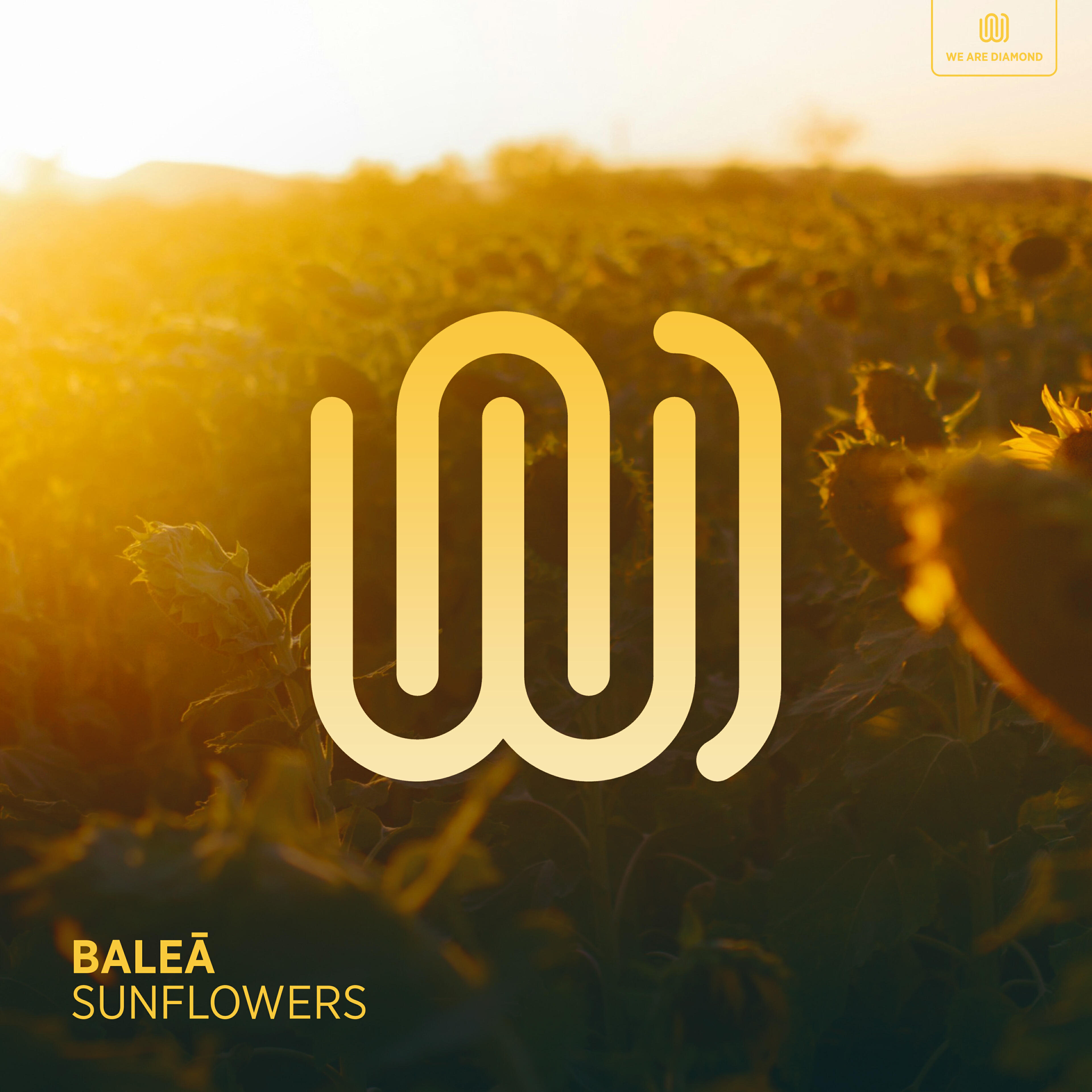 Релиз Sunflowers