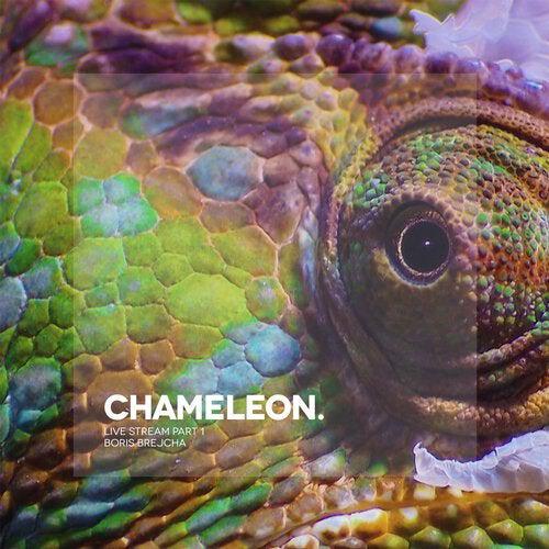 Релиз Chameleon