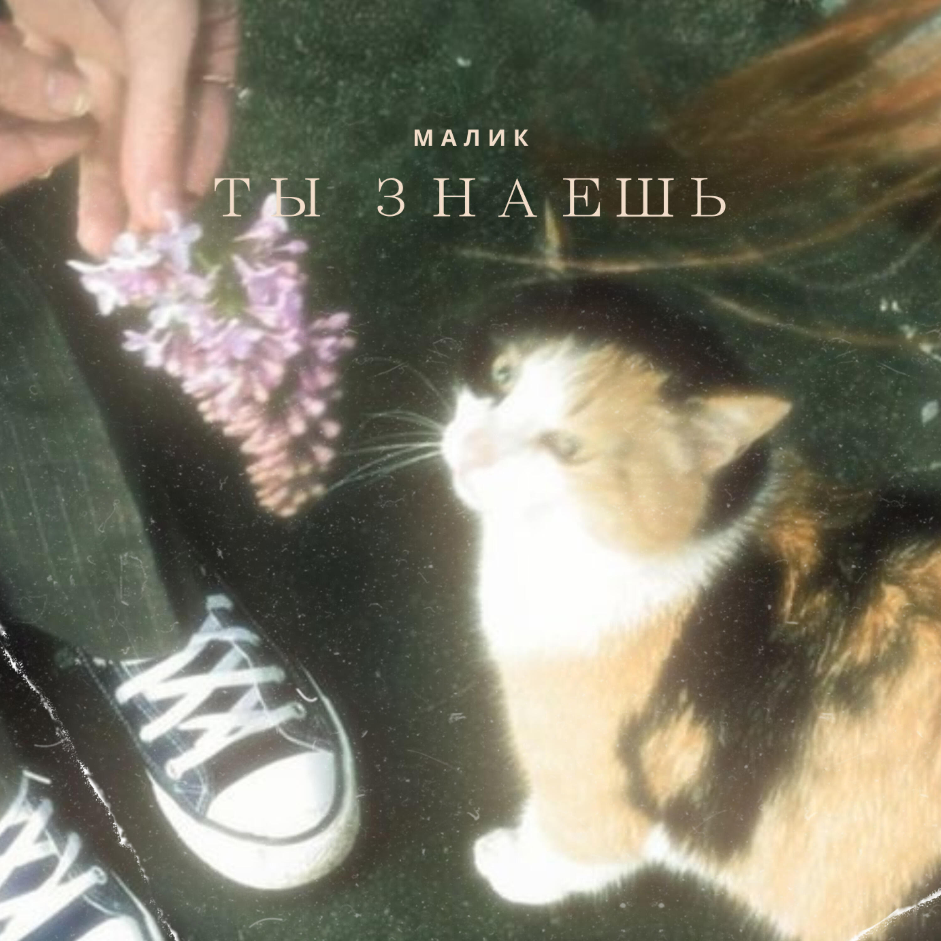 Постер альбома Ты знаешь