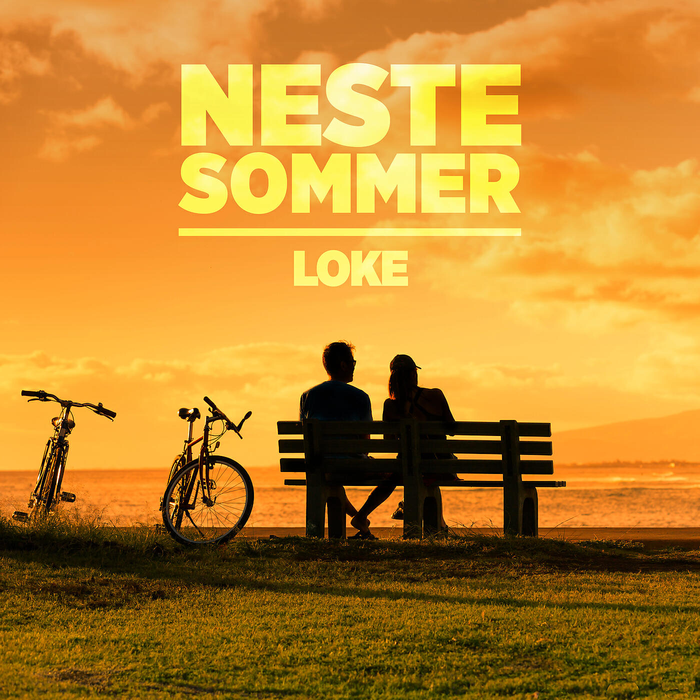 Постер альбома Neste sommer