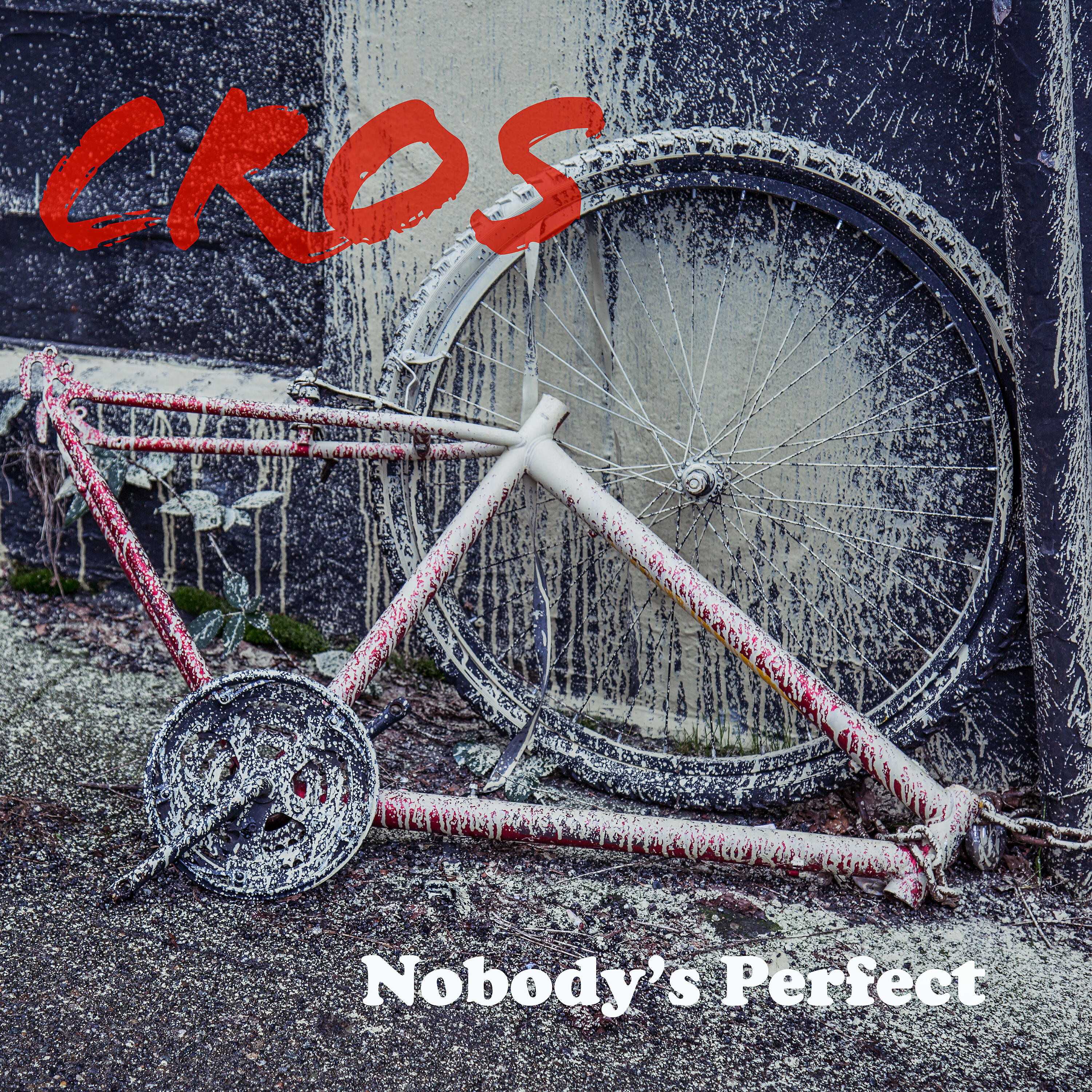 Релиз Nobody's Perfect