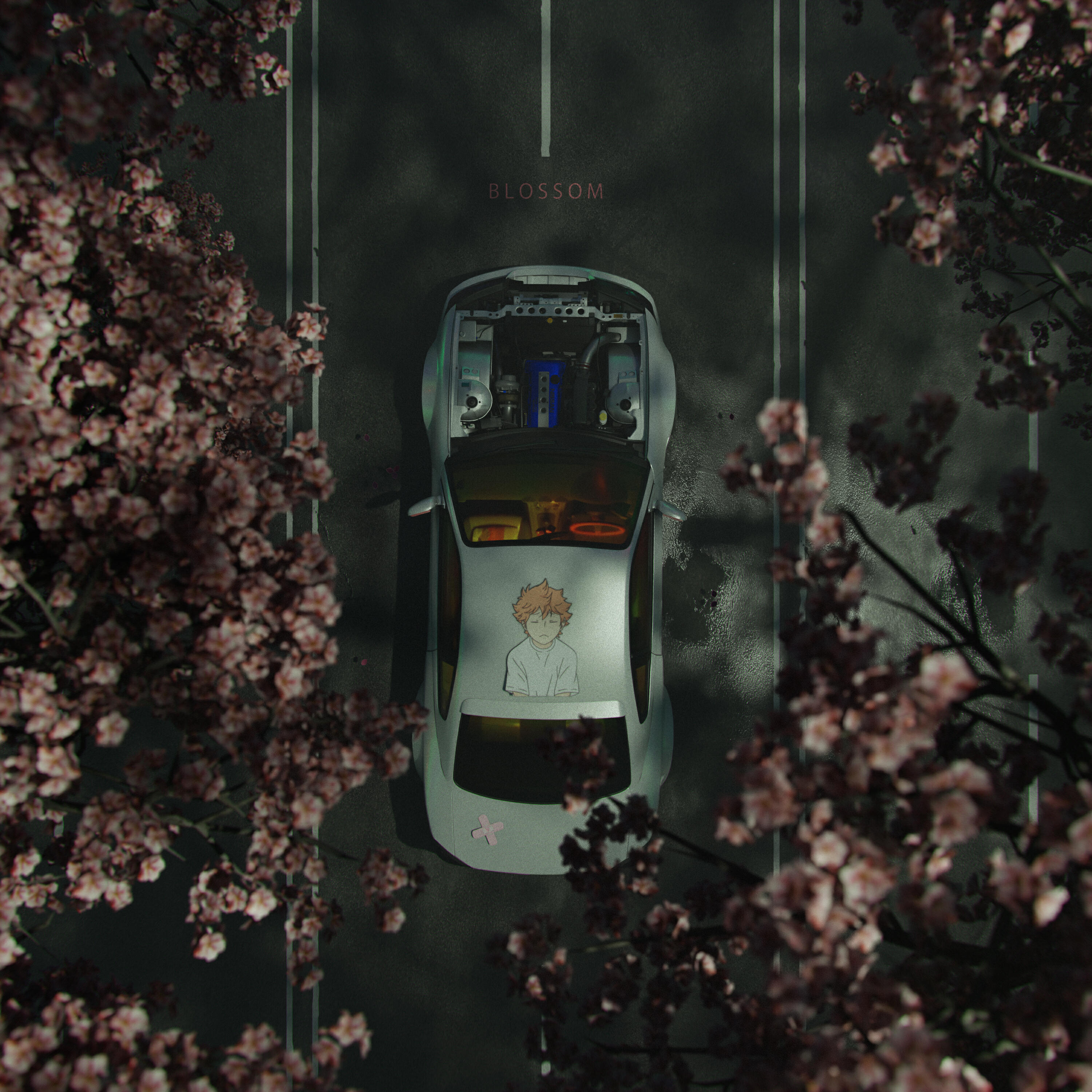Релиз BLOSSOM