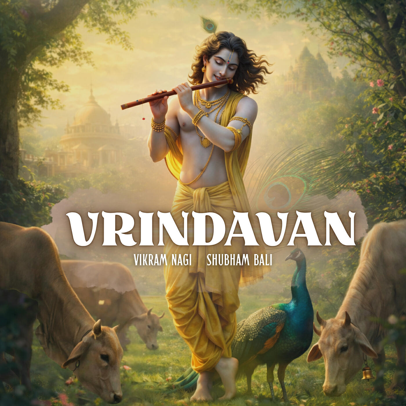 Vikram Nagi