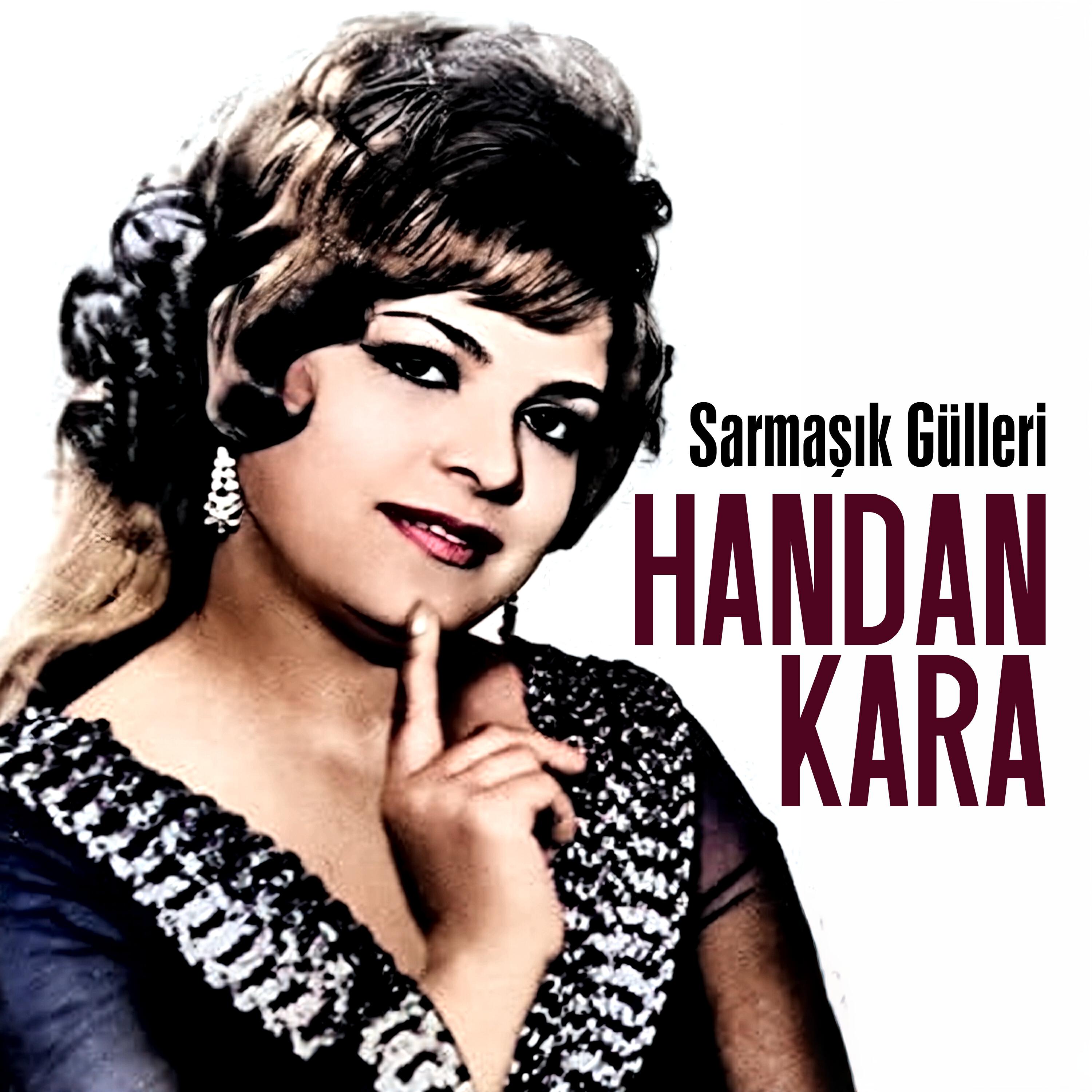 Релиз Sarmaşık Gülleri