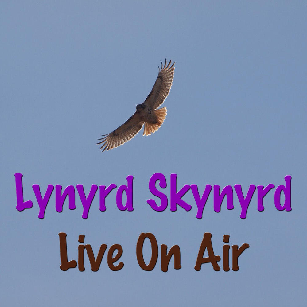 Релиз In Concert (Lynyrd Skynyrd On Air Collection)