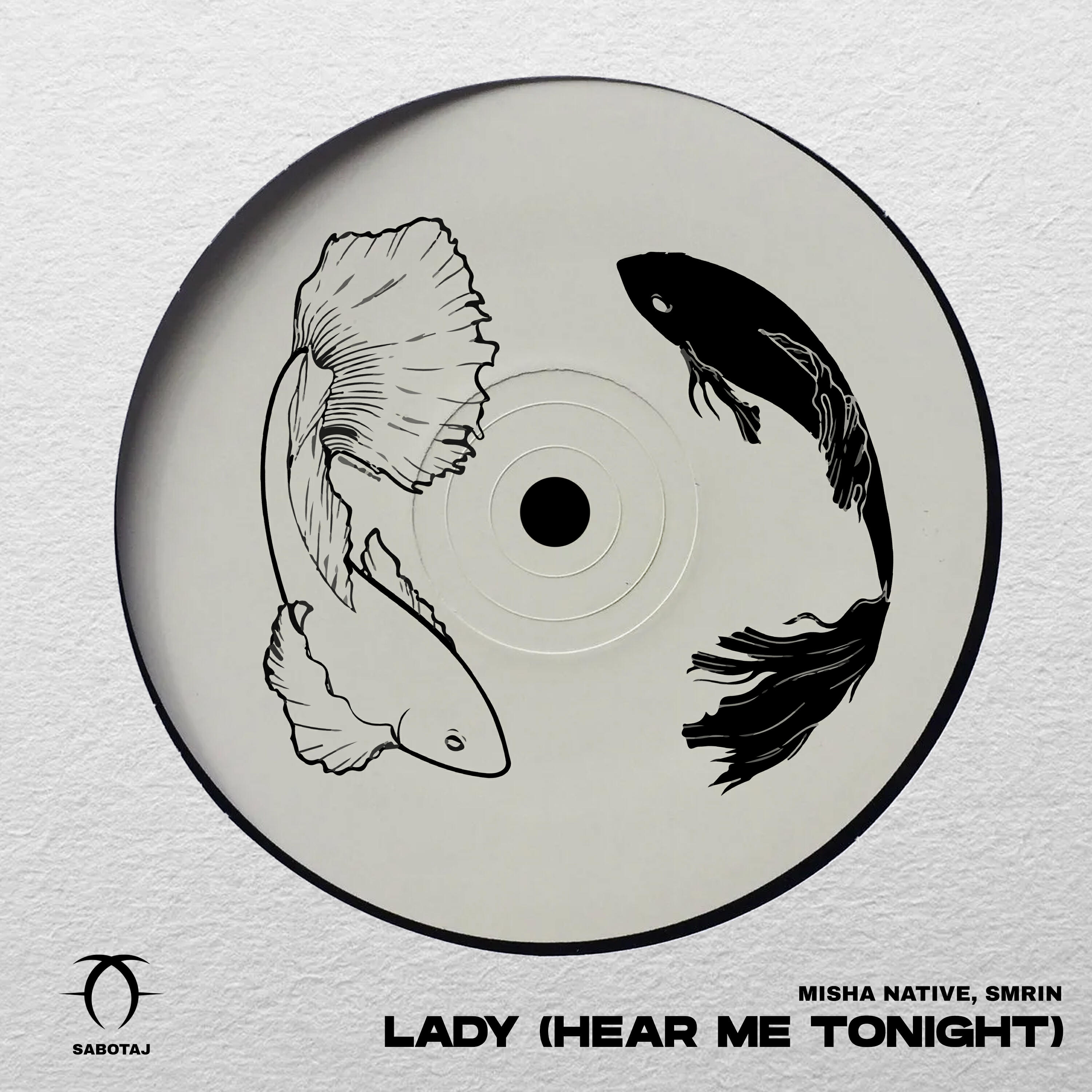 Постер альбома Lady (Hear Me Tonight)