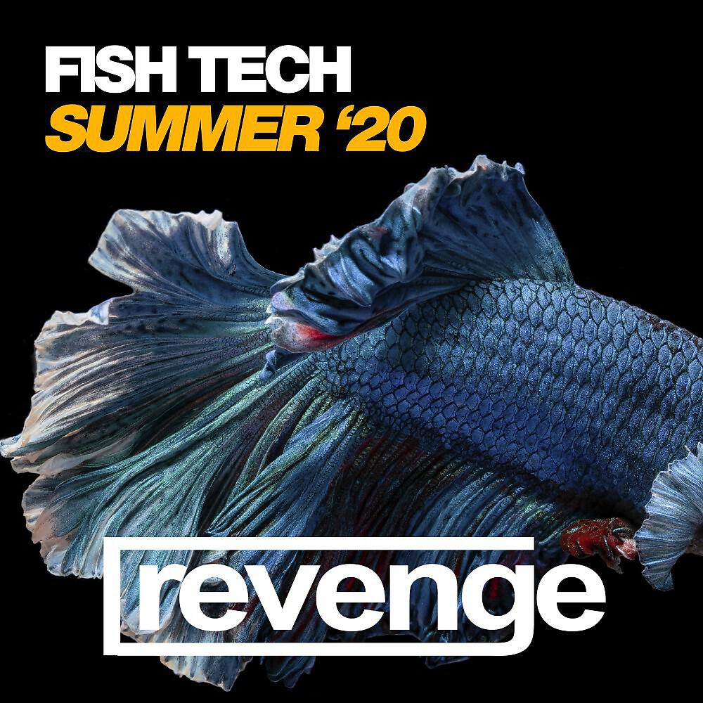 Релиз Fish Tech Summer '20