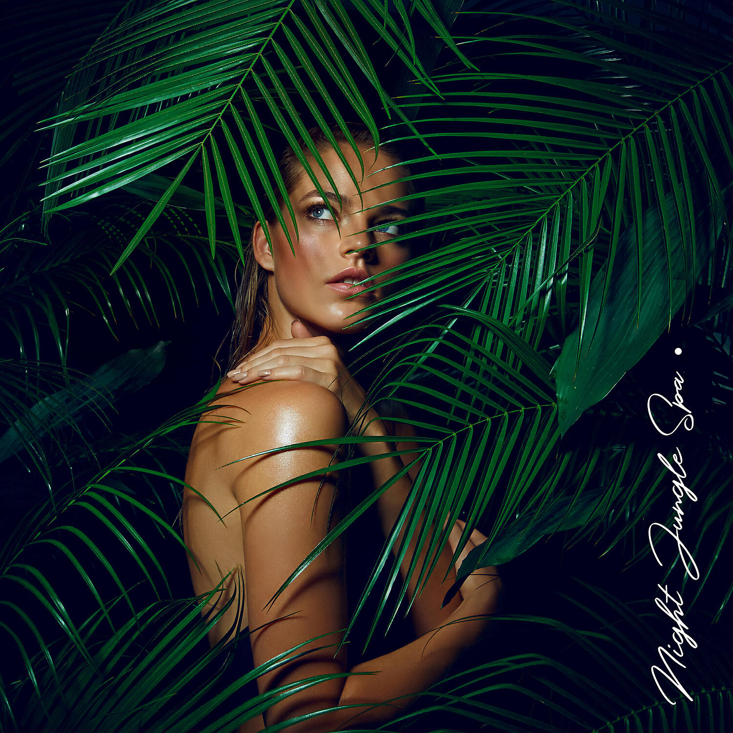 Релиз Night Jungle Spa – Exotic and Relaxing Instrumental Music for Home Spa, Oriental Therapy, Soothing Oil Massage
