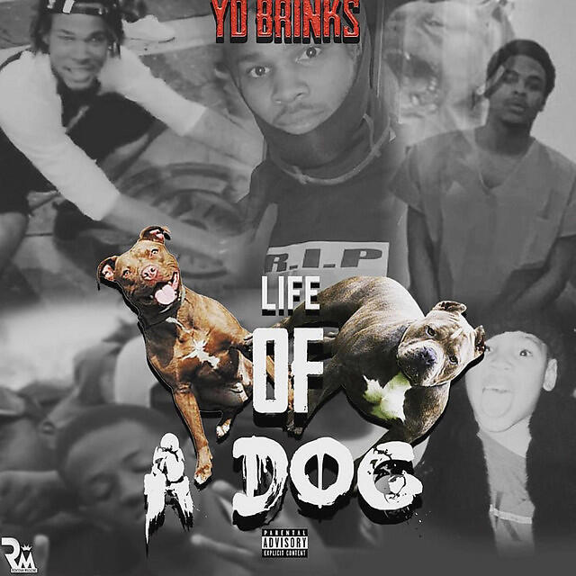 Релиз Life of a Dog