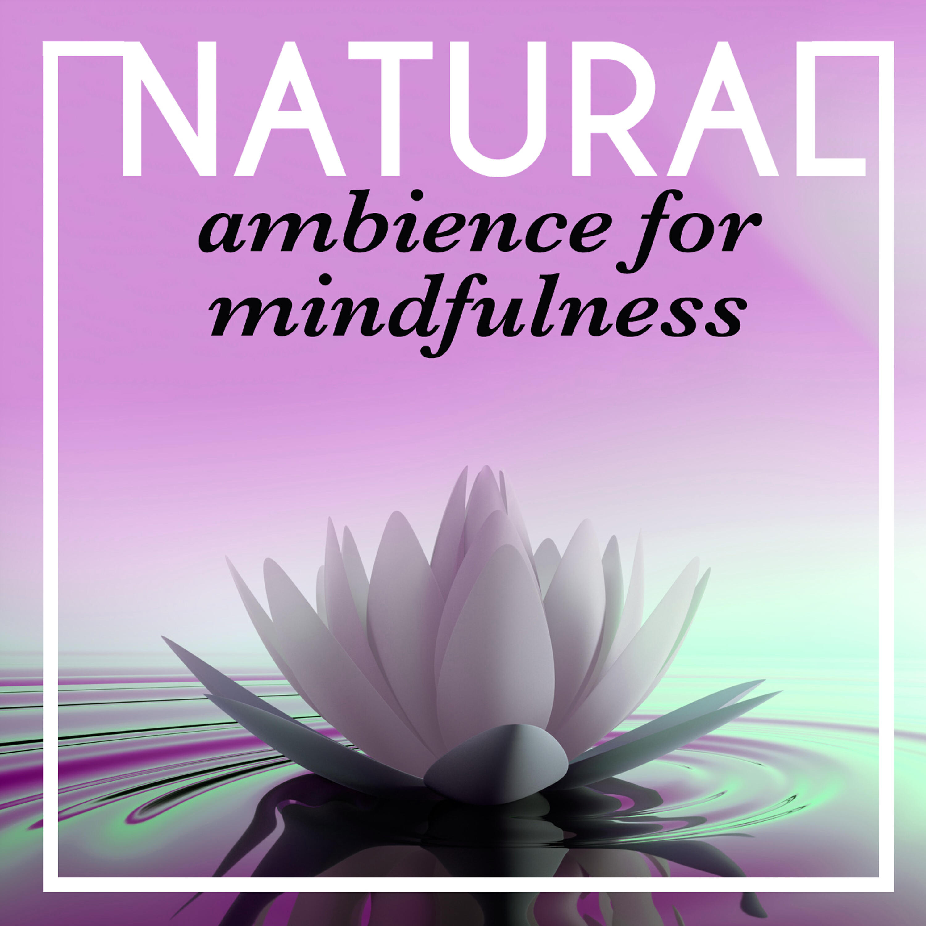 Релиз Natural Ambience for Mindfulness