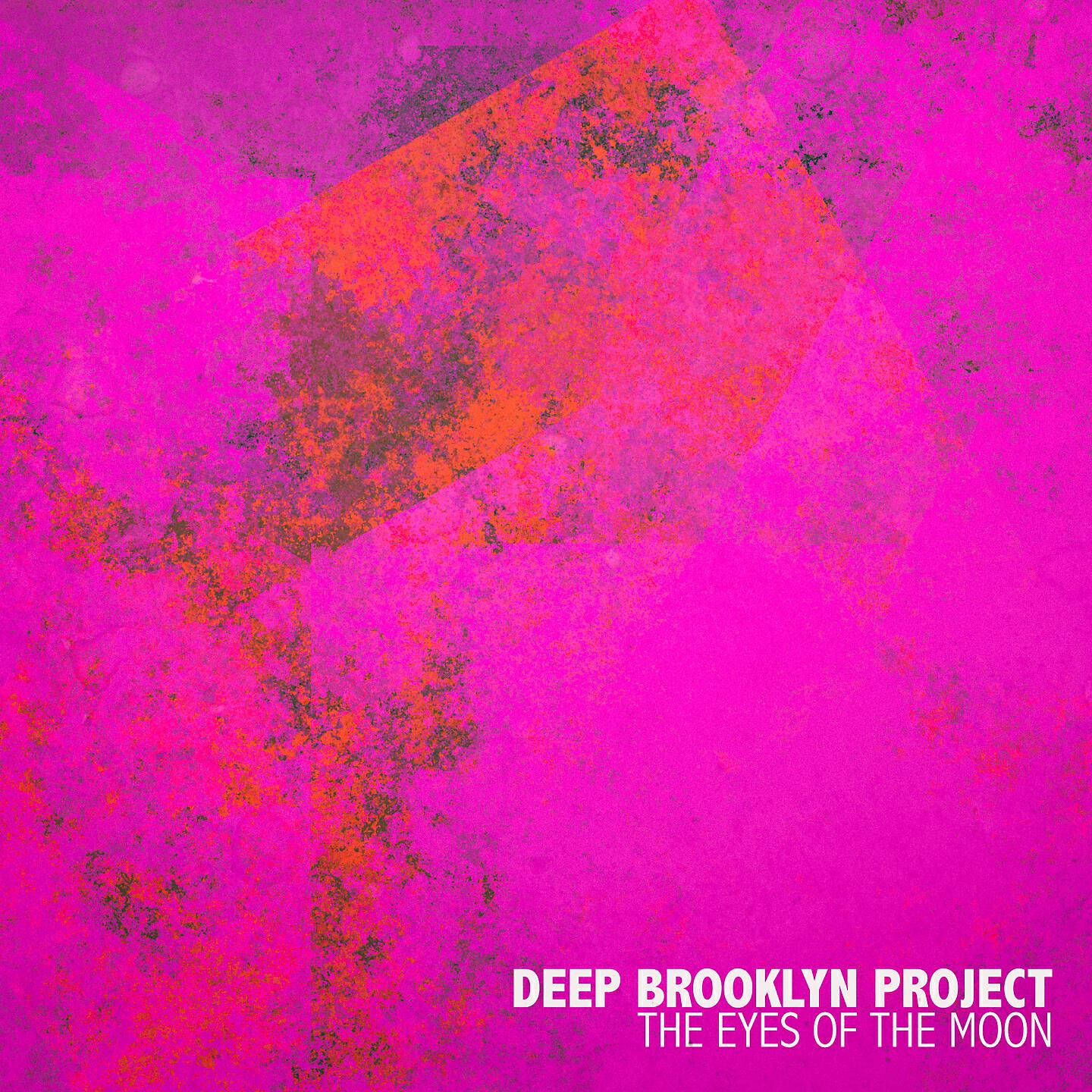 Deep Brooklyn Project