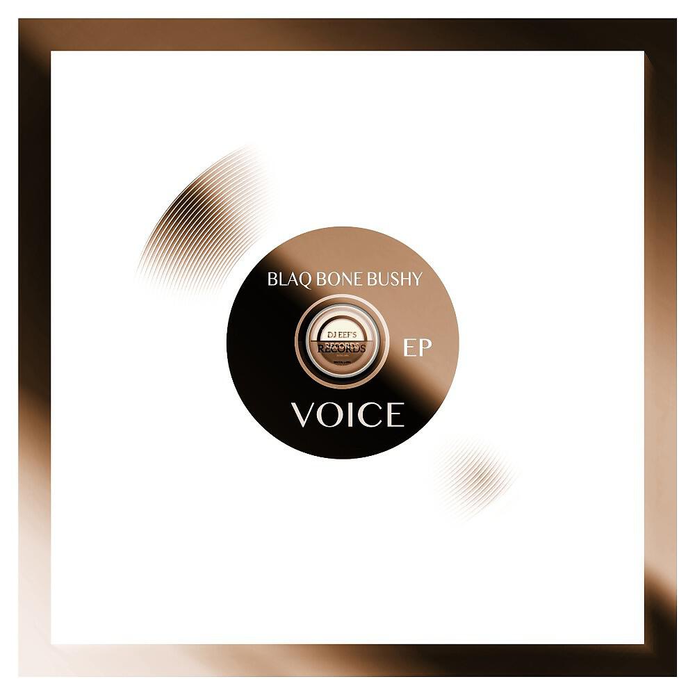 Постер альбома Voices